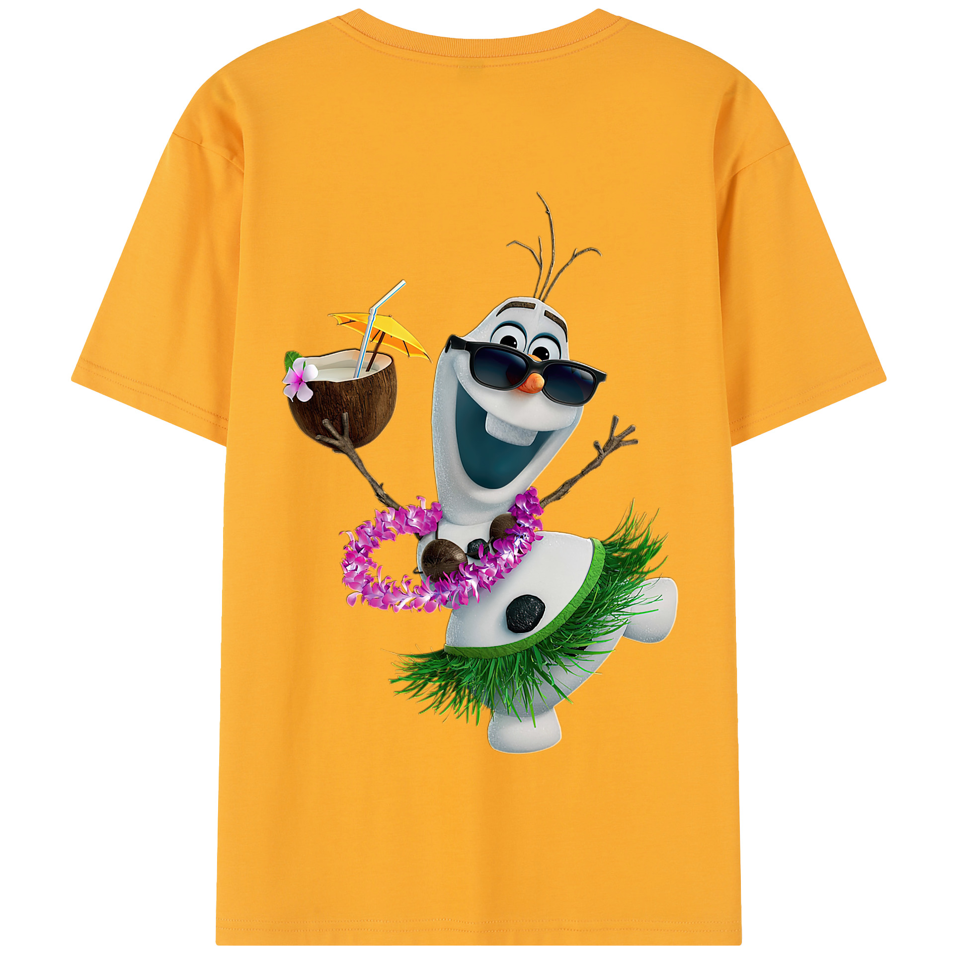 （画像用） アナと雪の女王 アンナ エルサ Frozen Anna Elsa 綿100％半袖Tシャツ（背面プリント）