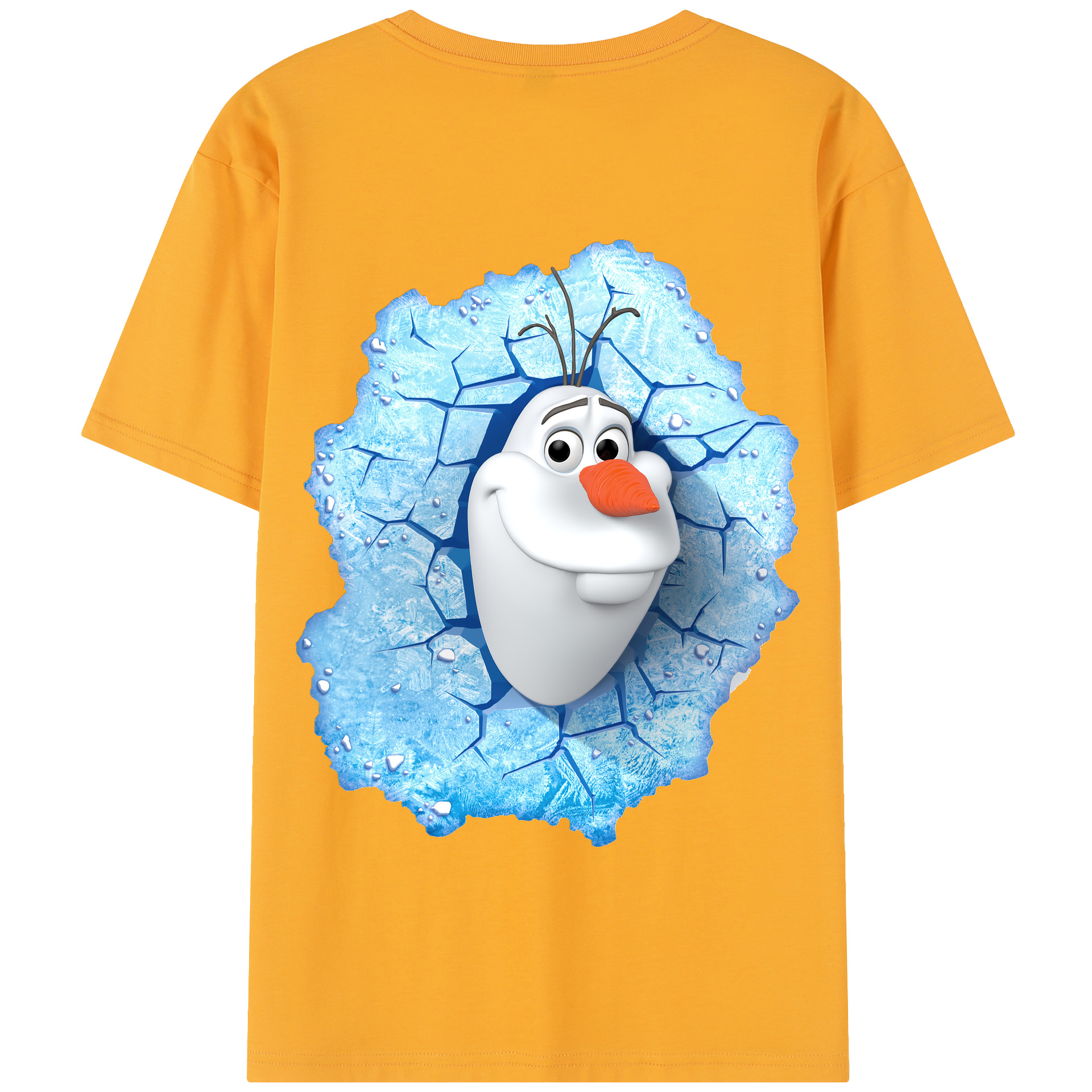 （画像用） アナと雪の女王 アンナ エルサ Frozen Anna Elsa 綿100％半袖Tシャツ（背面プリント）