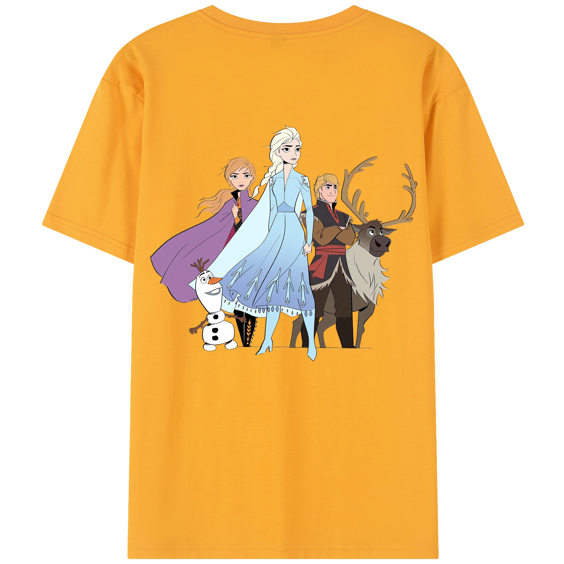 （画像用） アナと雪の女王 アンナ エルサ Frozen Anna Elsa 綿100％半袖Tシャツ（背面プリント）