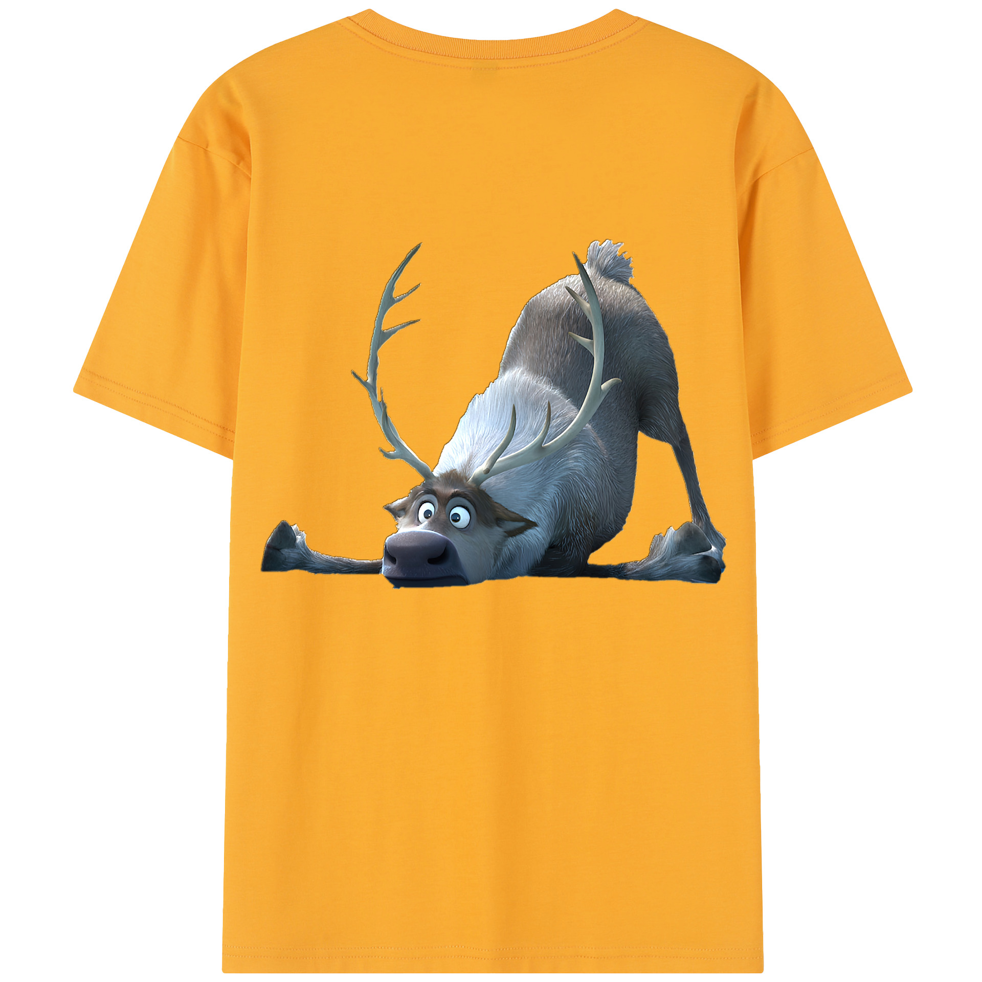 （画像用） アナと雪の女王 アンナ エルサ Frozen Anna Elsa 綿100％半袖Tシャツ（背面プリント）