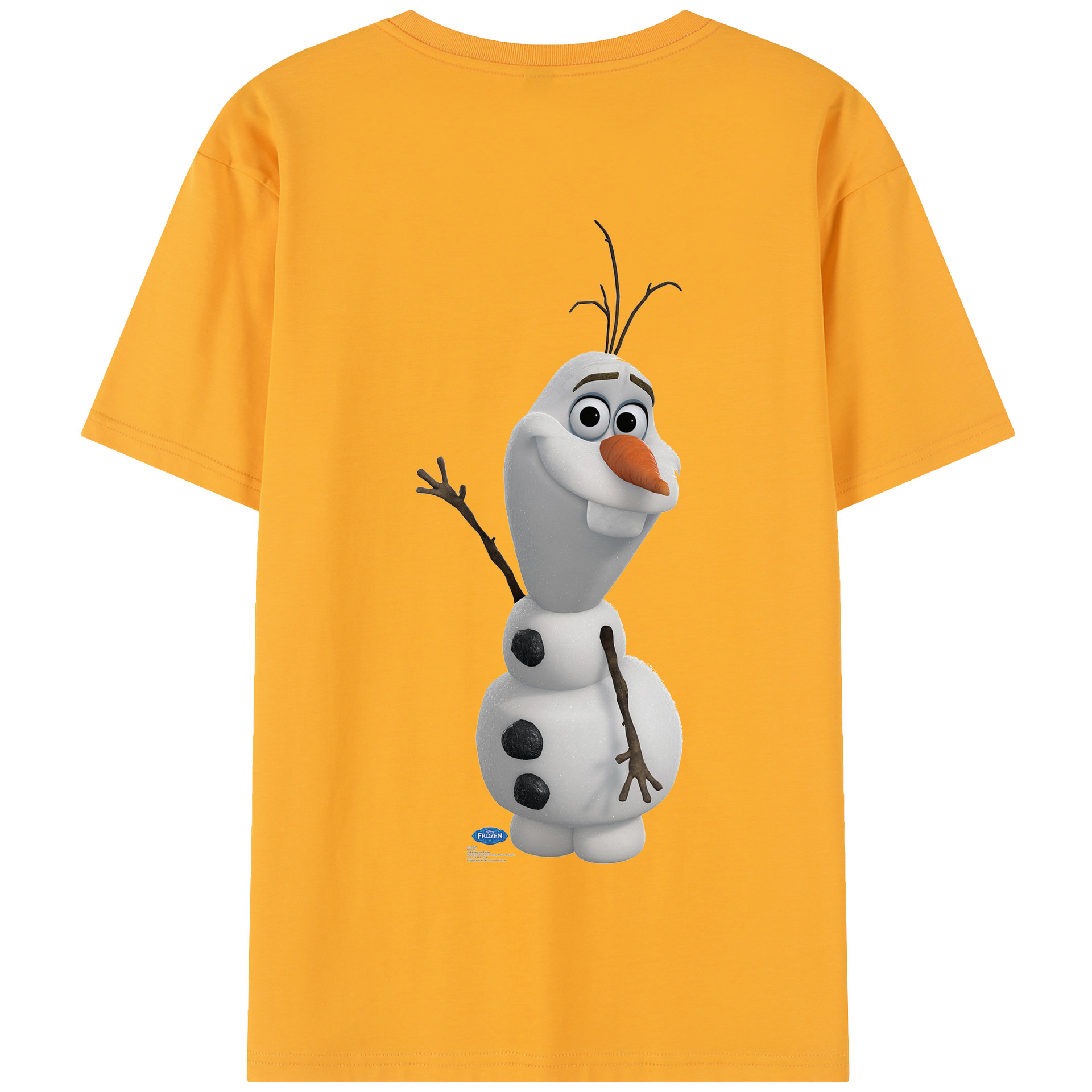 （画像用） アナと雪の女王 アンナ エルサ Frozen Anna Elsa 綿100％半袖Tシャツ（背面プリント）