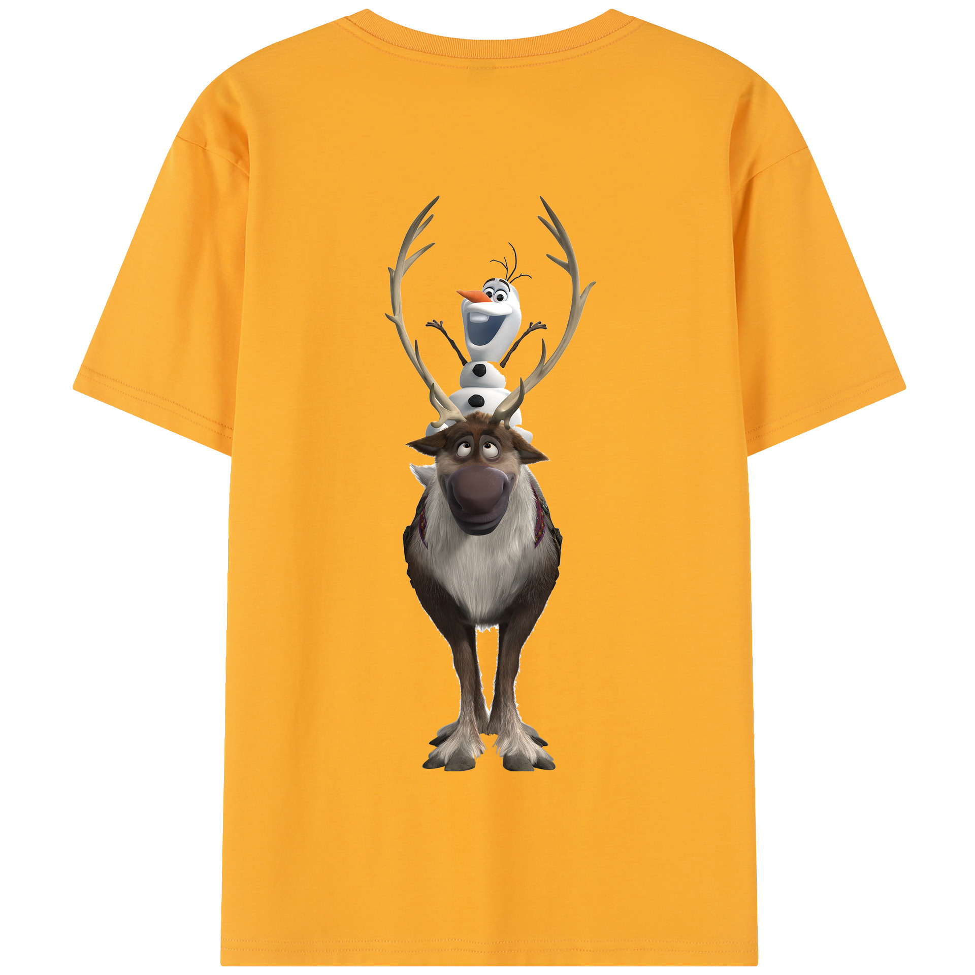 （画像用） アナと雪の女王 アンナ エルサ Frozen Anna Elsa 綿100％半袖Tシャツ（背面プリント）