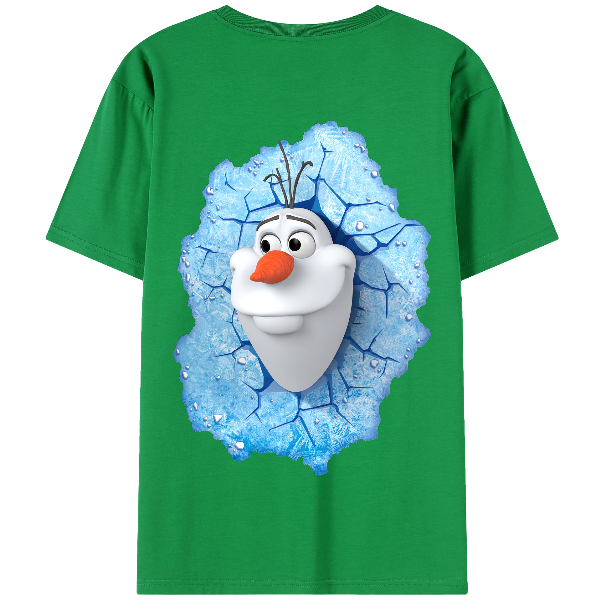 （画像用） アナと雪の女王 アンナ エルサ Frozen Anna Elsa 綿100％半袖Tシャツ（背面プリント）