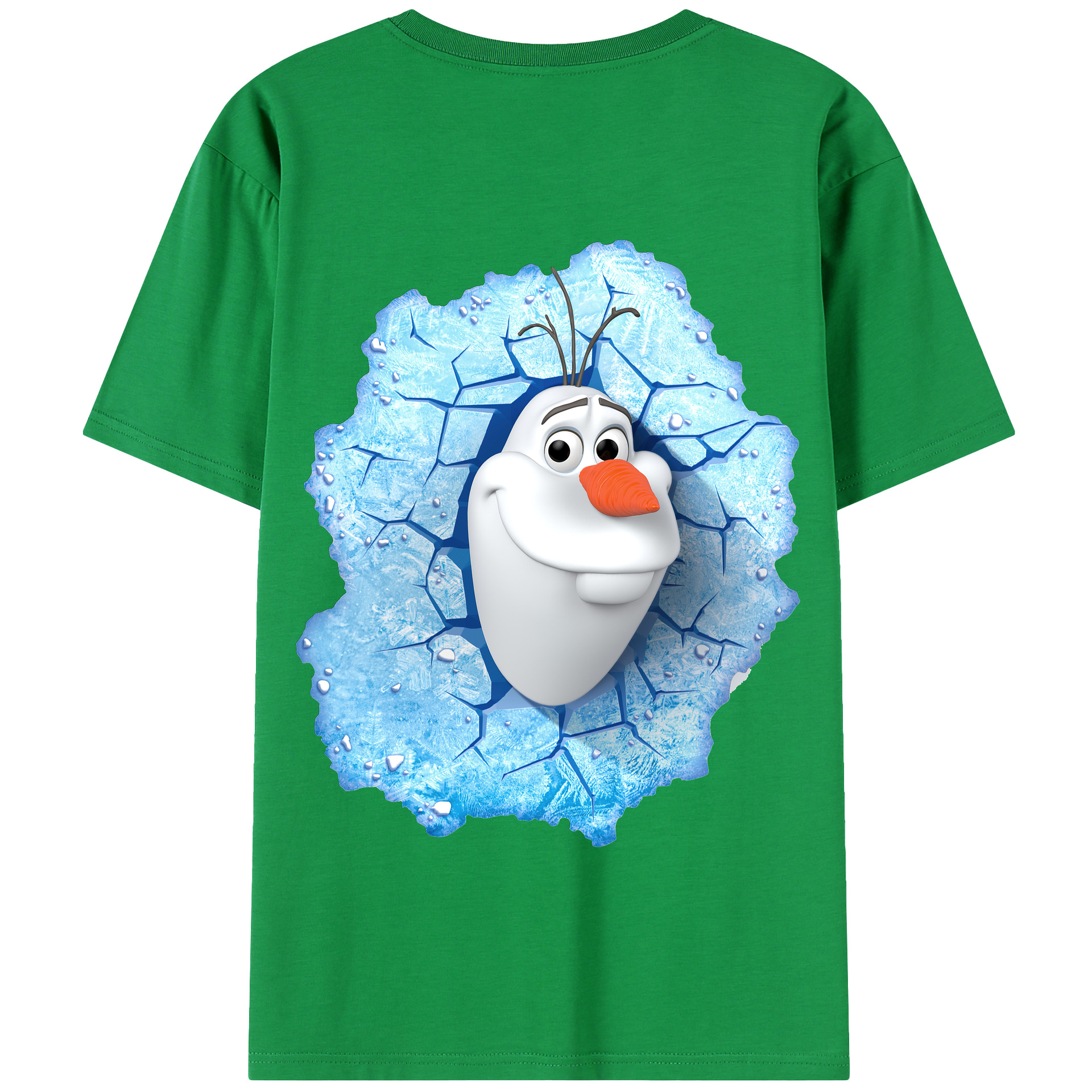 （画像用） アナと雪の女王 アンナ エルサ Frozen Anna Elsa 綿100％半袖Tシャツ（背面プリント）