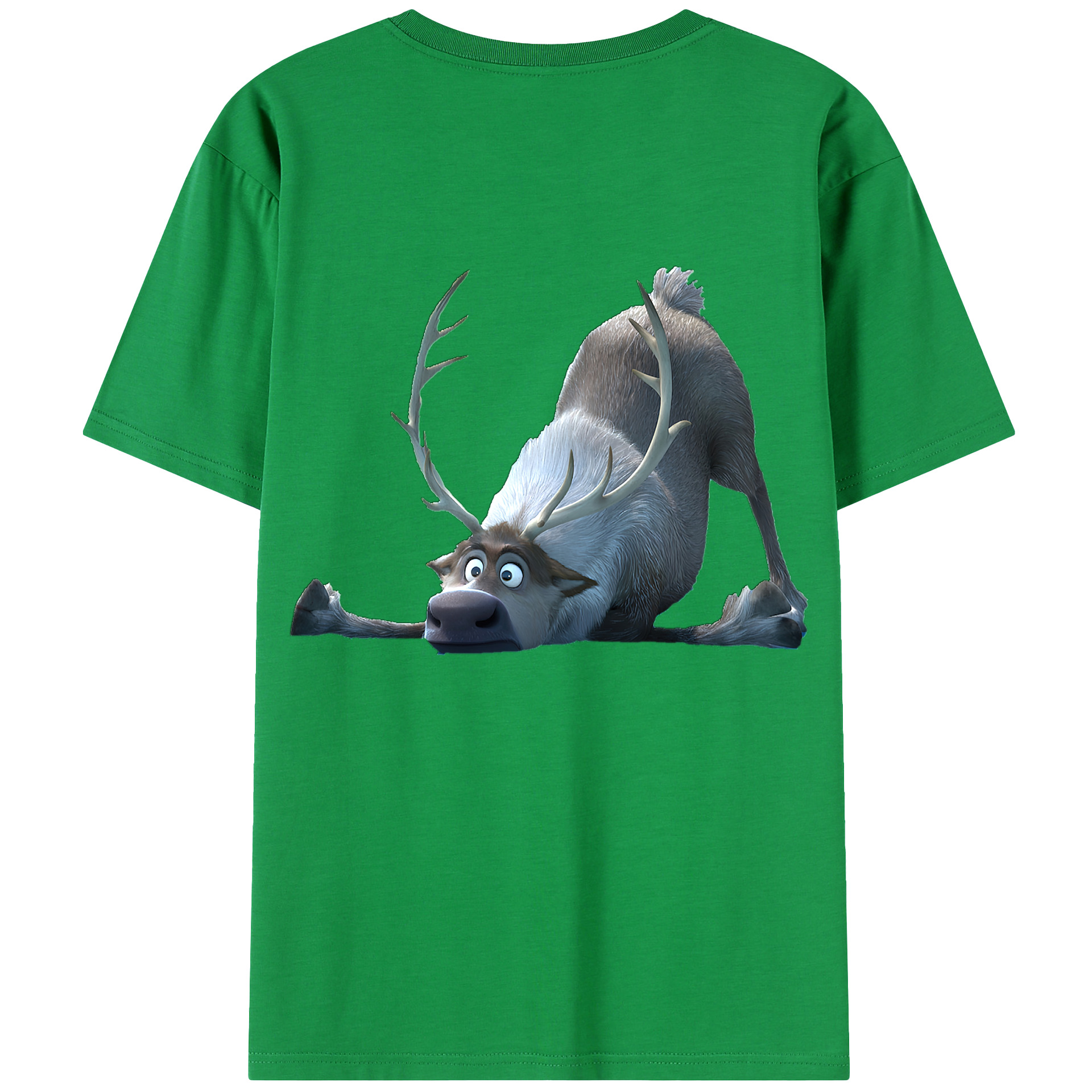 （画像用） アナと雪の女王 アンナ エルサ Frozen Anna Elsa 綿100％半袖Tシャツ（背面プリント）