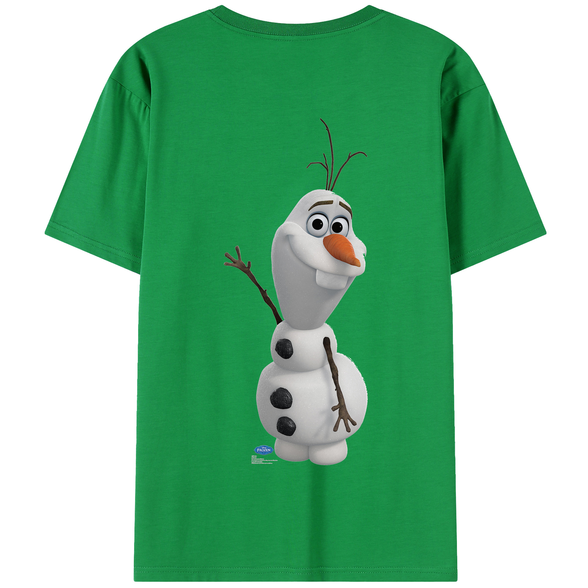 （画像用） アナと雪の女王 アンナ エルサ Frozen Anna Elsa 綿100％半袖Tシャツ（背面プリント）
