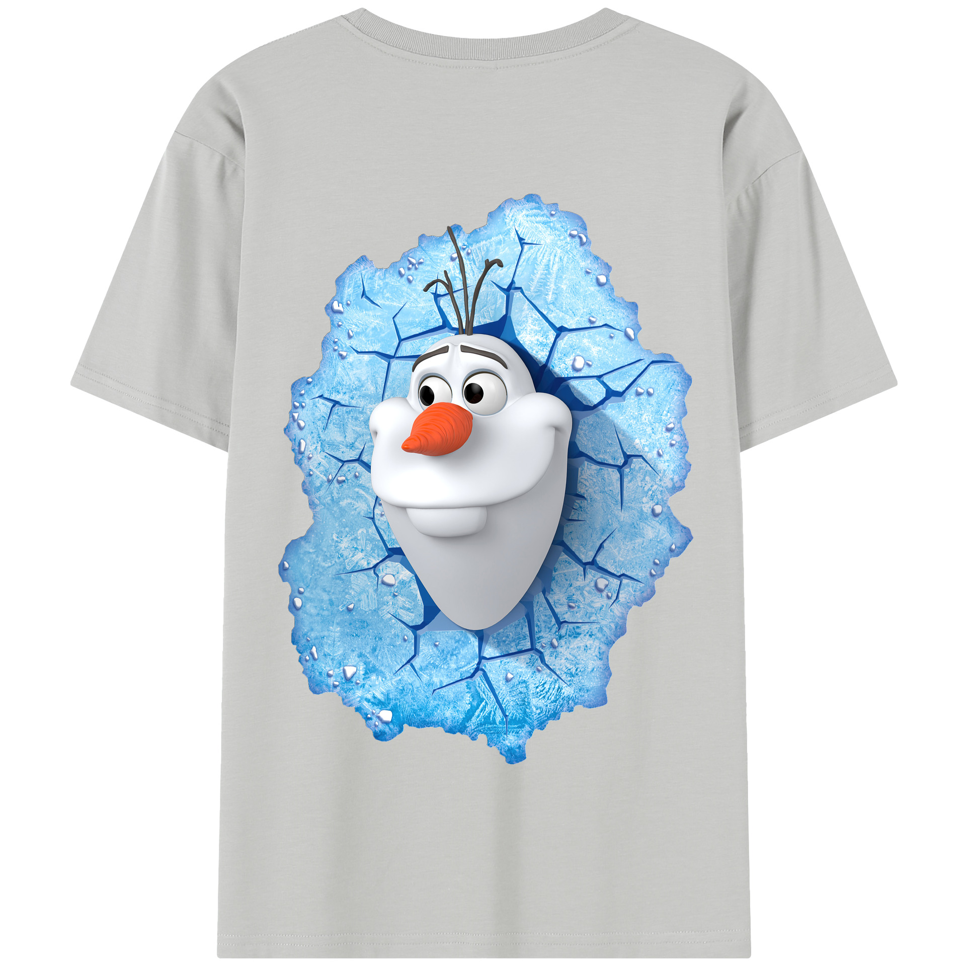 （画像用） アナと雪の女王 アンナ エルサ Frozen Anna Elsa 綿100％半袖Tシャツ（背面プリント）