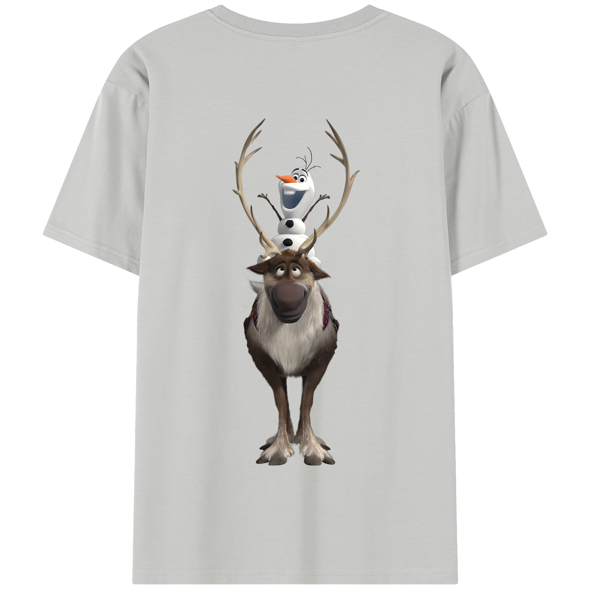 （画像用） アナと雪の女王 アンナ エルサ Frozen Anna Elsa 綿100％半袖Tシャツ（背面プリント）