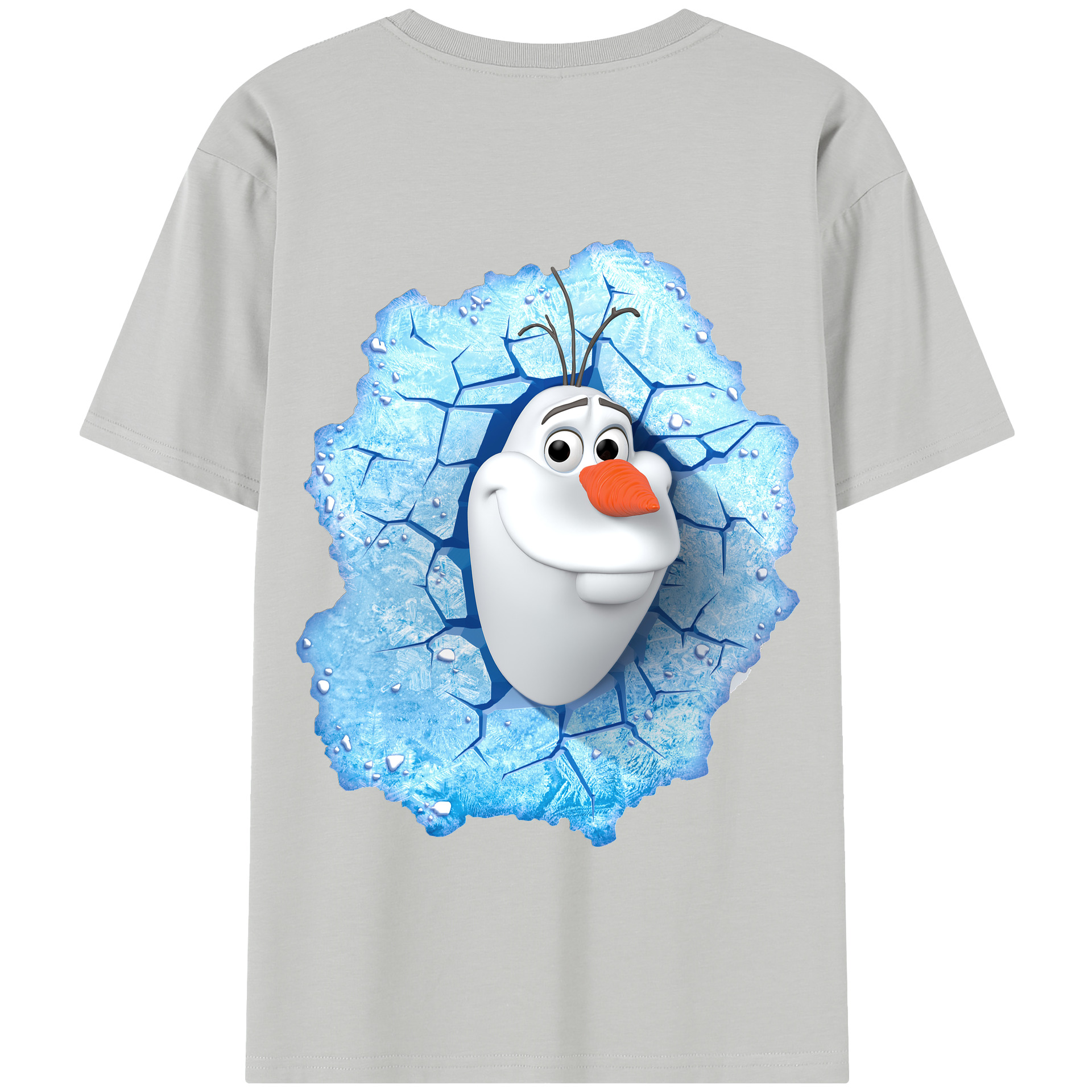 （画像用） アナと雪の女王 アンナ エルサ Frozen Anna Elsa 綿100％半袖Tシャツ（背面プリント）