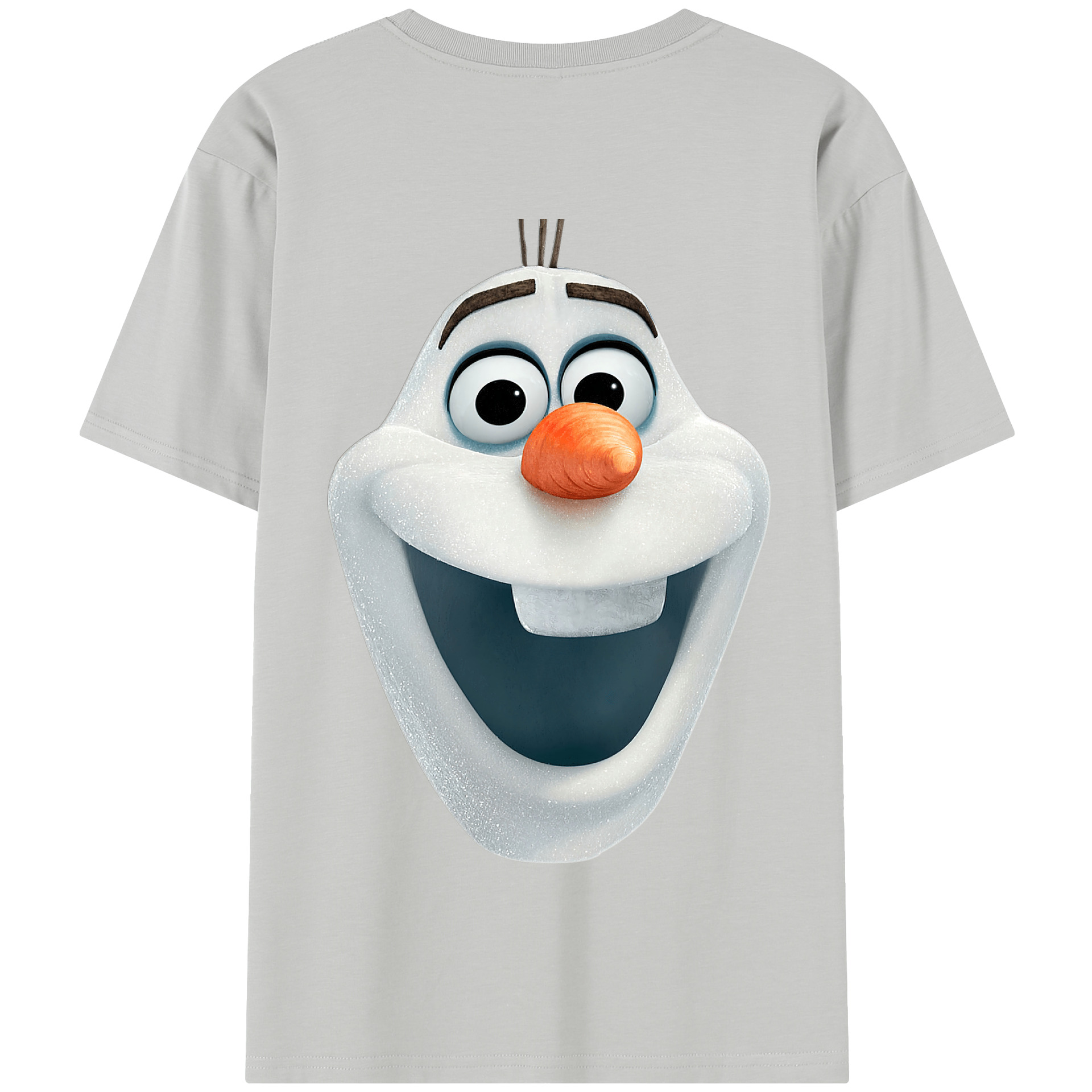 （画像用） アナと雪の女王 アンナ エルサ Frozen Anna Elsa 綿100％半袖Tシャツ（背面プリント）