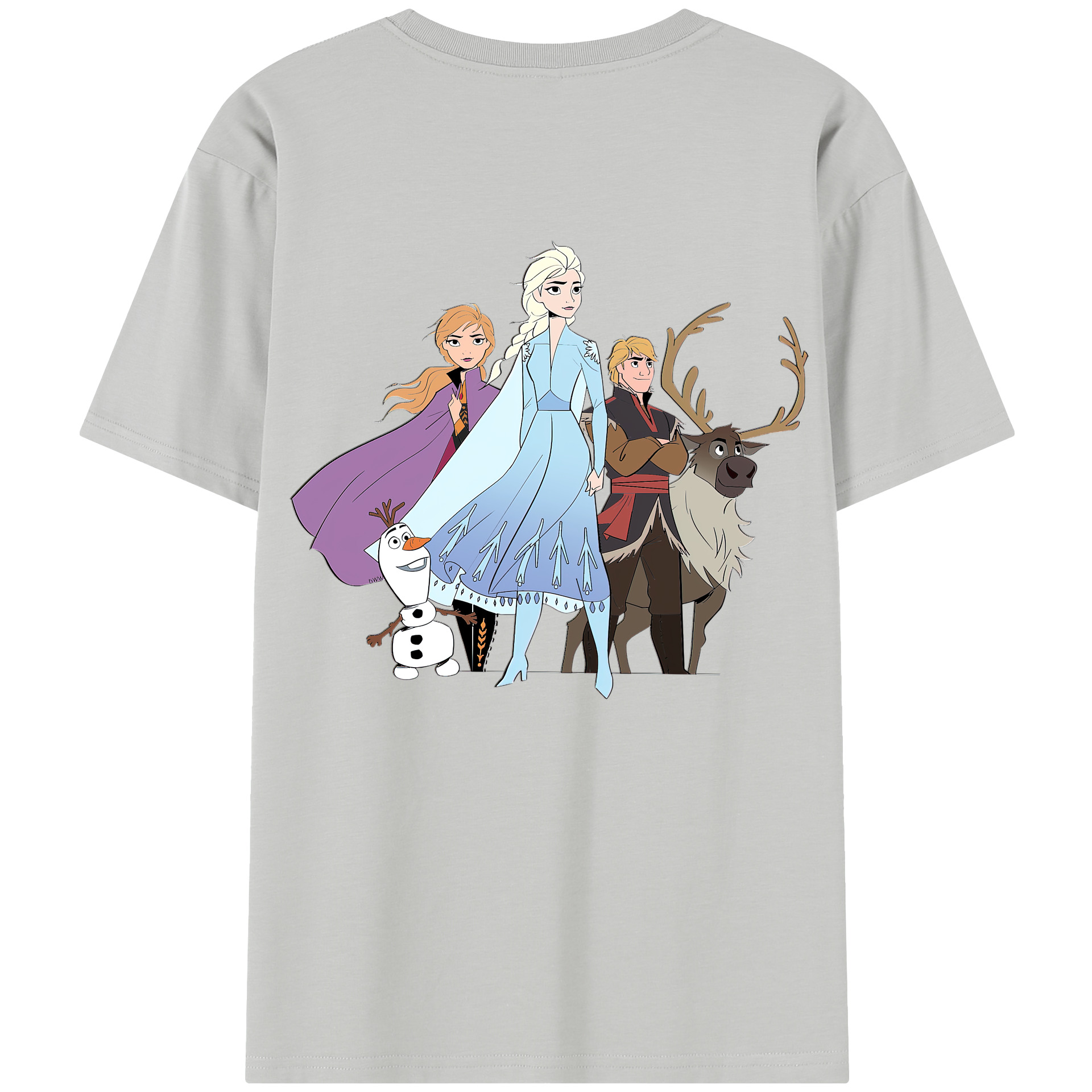 （画像用） アナと雪の女王 アンナ エルサ Frozen Anna Elsa 綿100％半袖Tシャツ（背面プリント）
