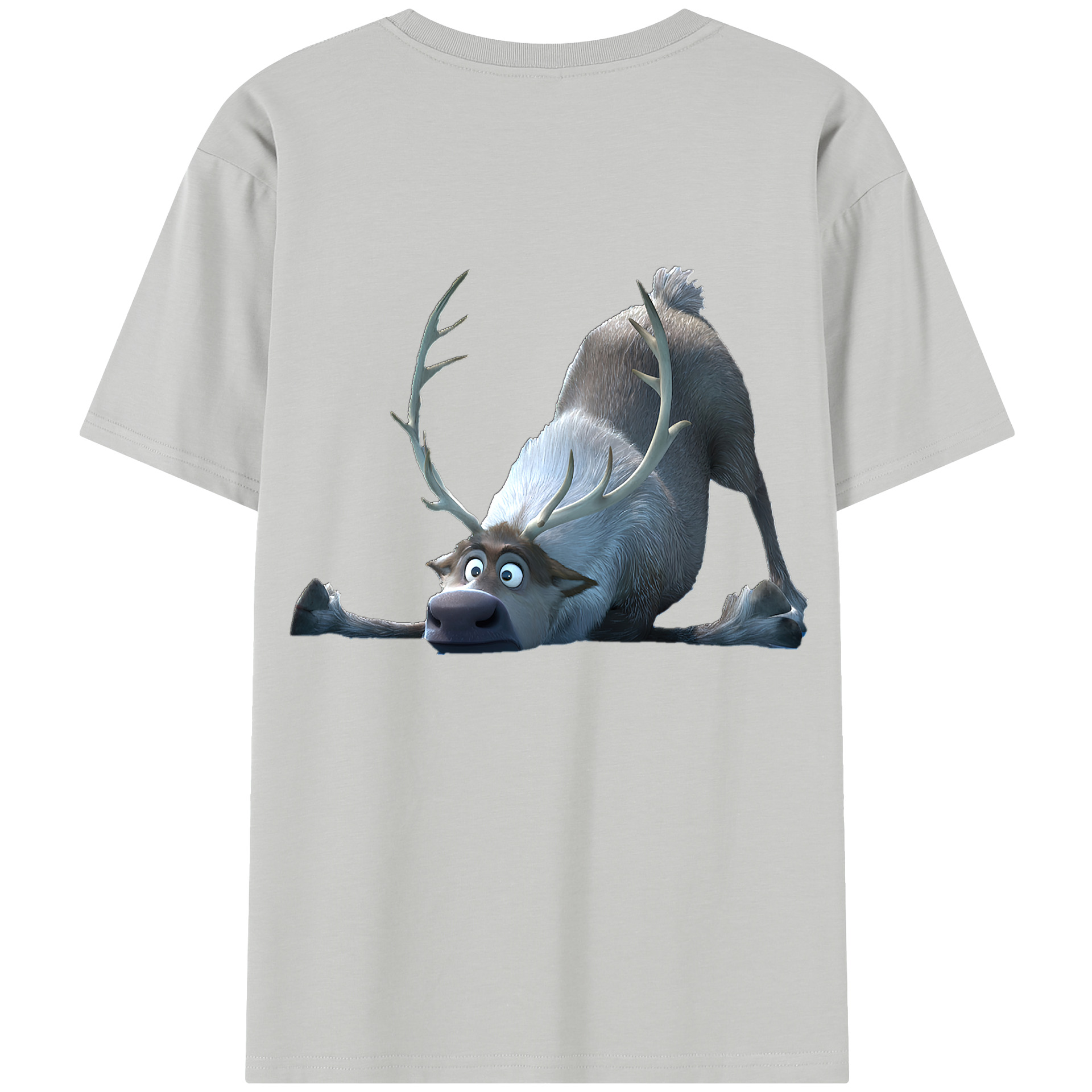 （画像用） アナと雪の女王 アンナ エルサ Frozen Anna Elsa 綿100％半袖Tシャツ（背面プリント）