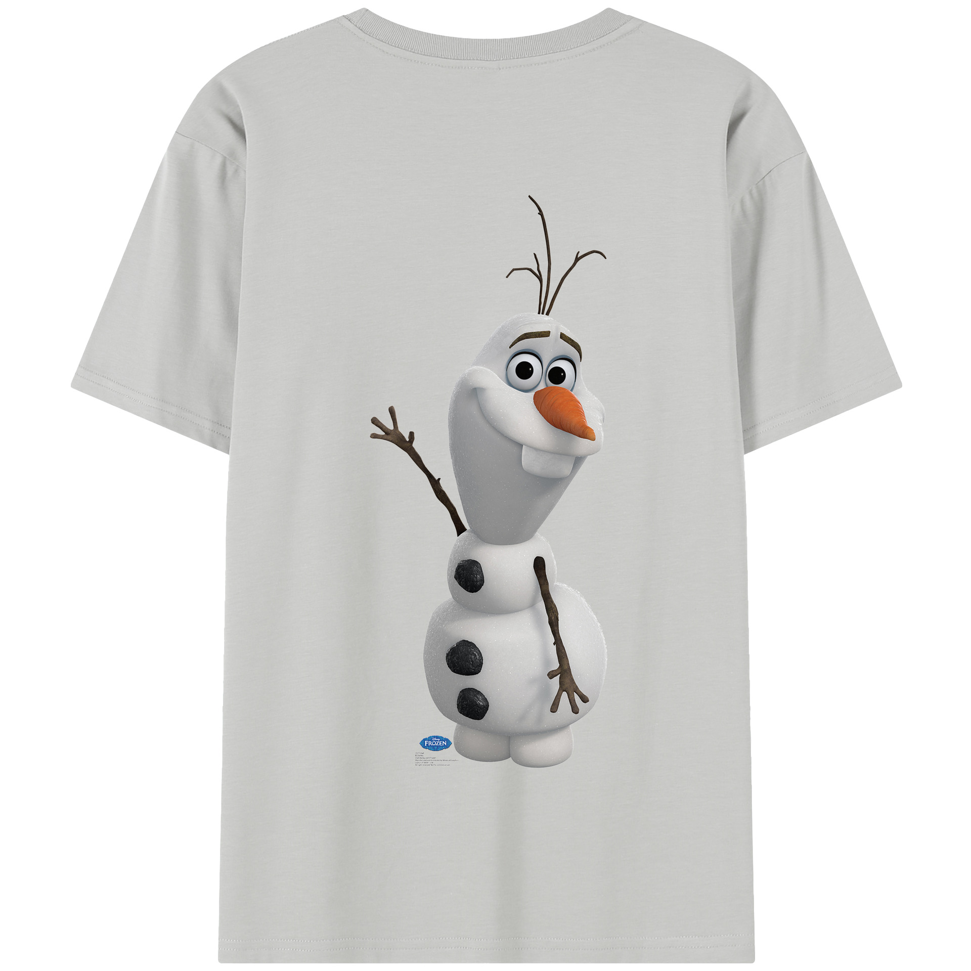 （画像用） アナと雪の女王 アンナ エルサ Frozen Anna Elsa 綿100％半袖Tシャツ（背面プリント）