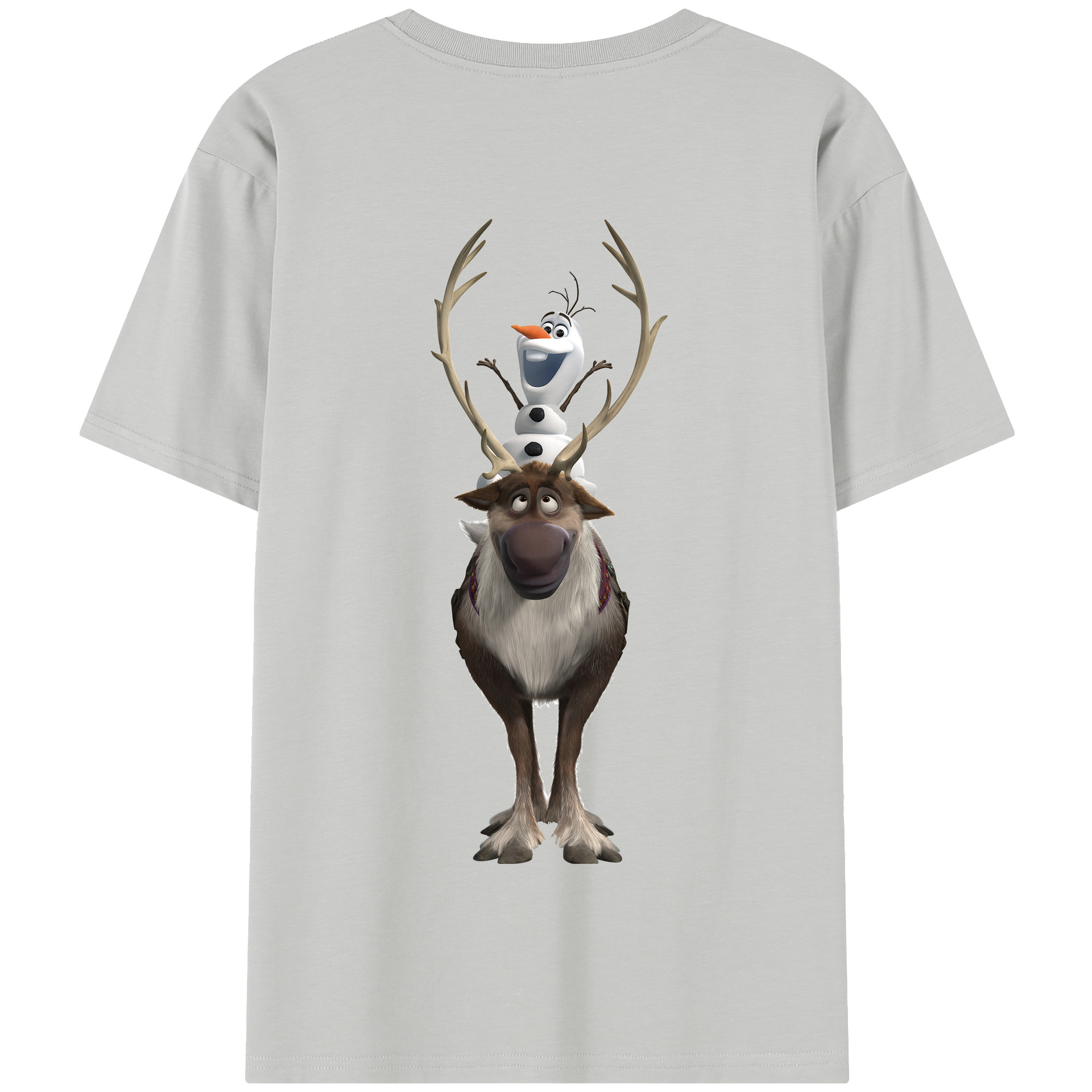 （画像用） アナと雪の女王 アンナ エルサ Frozen Anna Elsa 綿100％半袖Tシャツ（背面プリント）