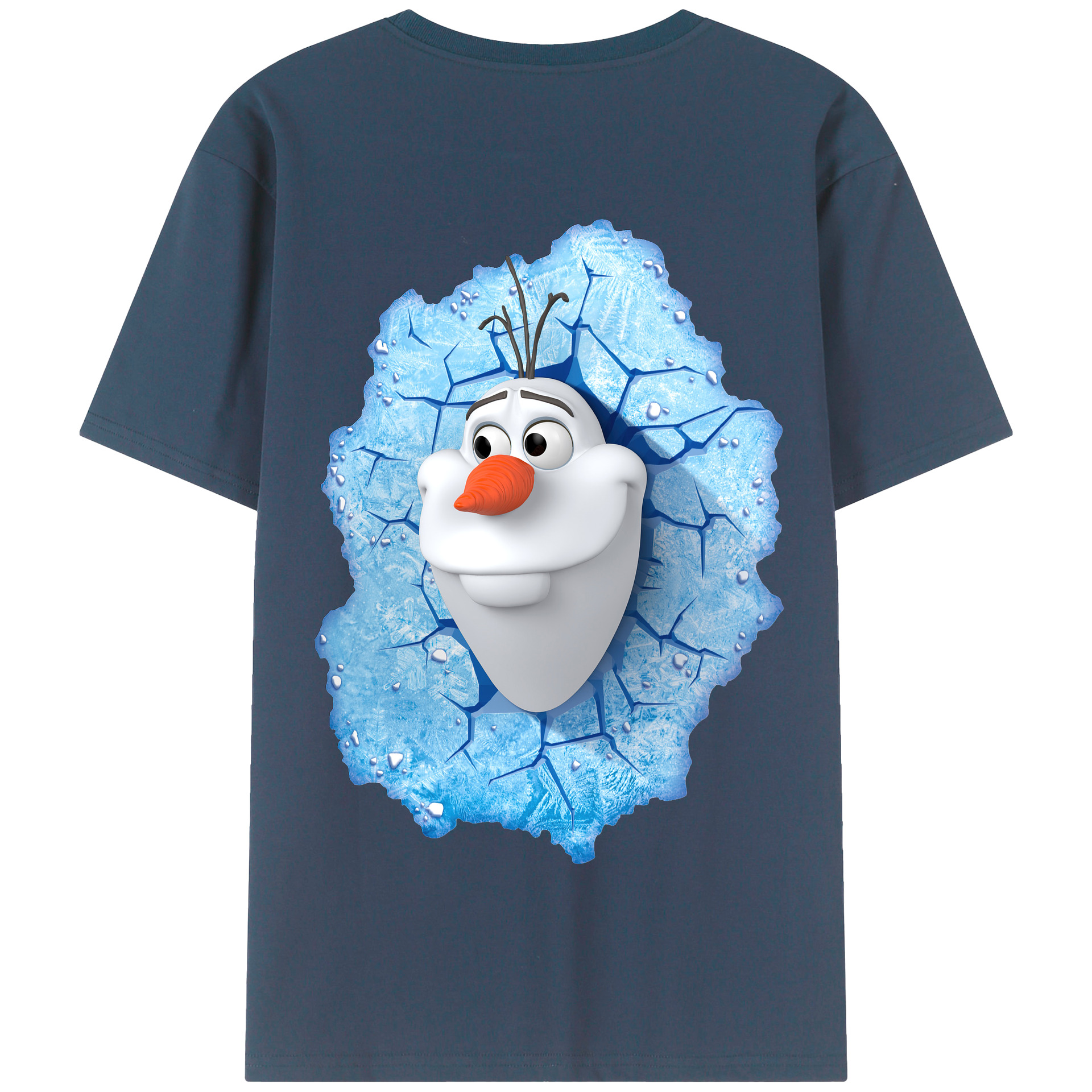 （画像用） アナと雪の女王 アンナ エルサ Frozen Anna Elsa 綿100％半袖Tシャツ（背面プリント）