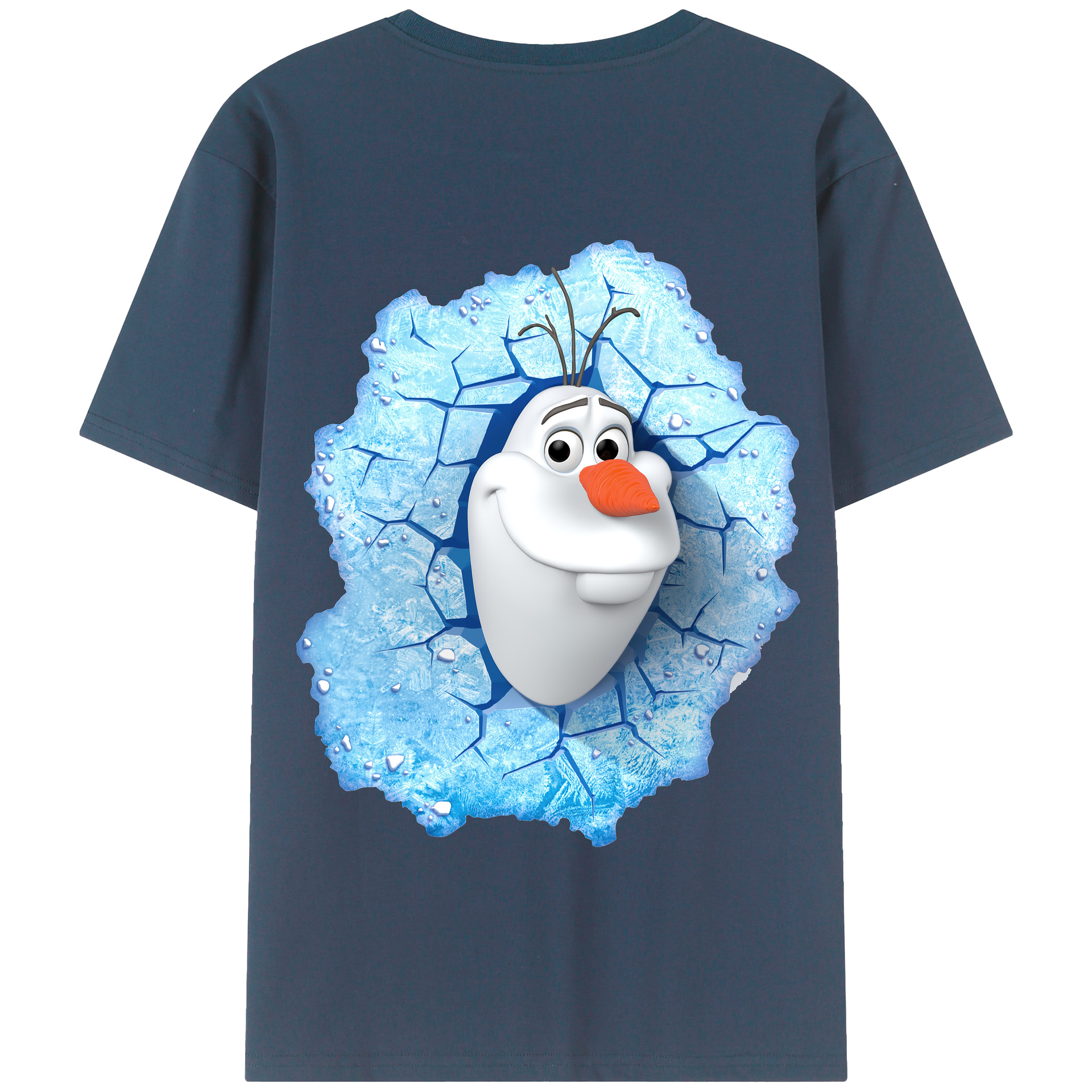 （画像用） アナと雪の女王 アンナ エルサ Frozen Anna Elsa 綿100％半袖Tシャツ（背面プリント）