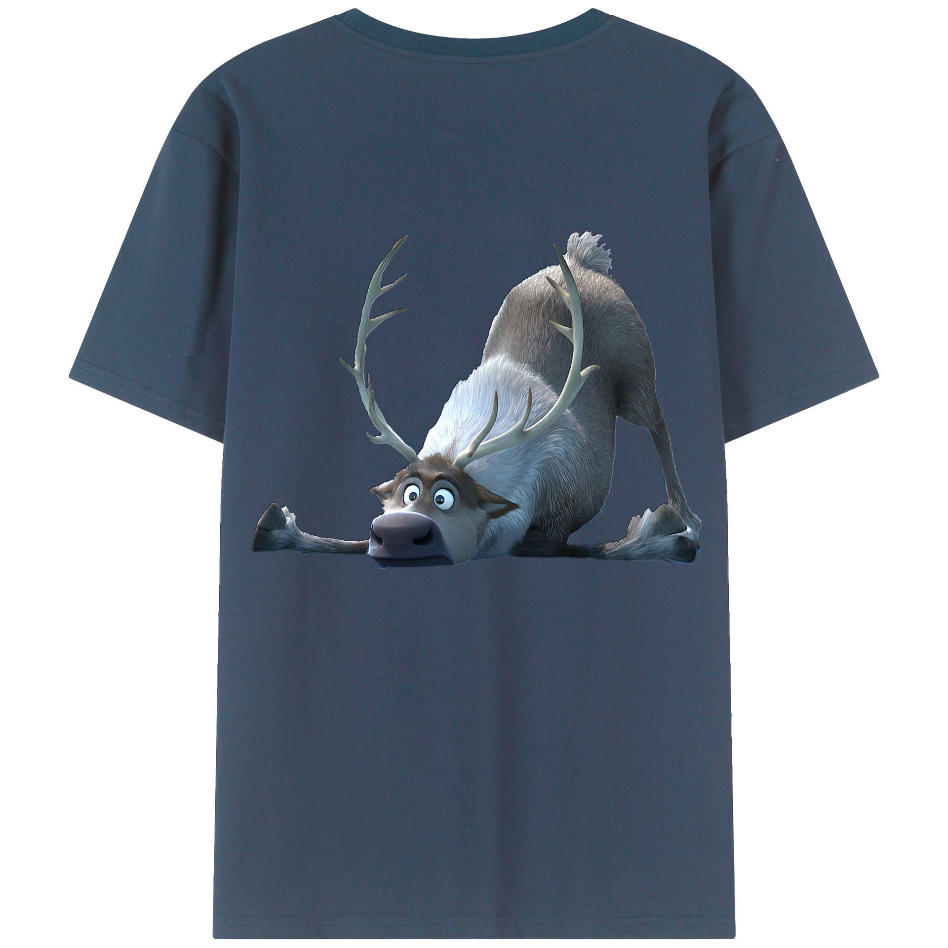 （画像用） アナと雪の女王 アンナ エルサ Frozen Anna Elsa 綿100％半袖Tシャツ（背面プリント）