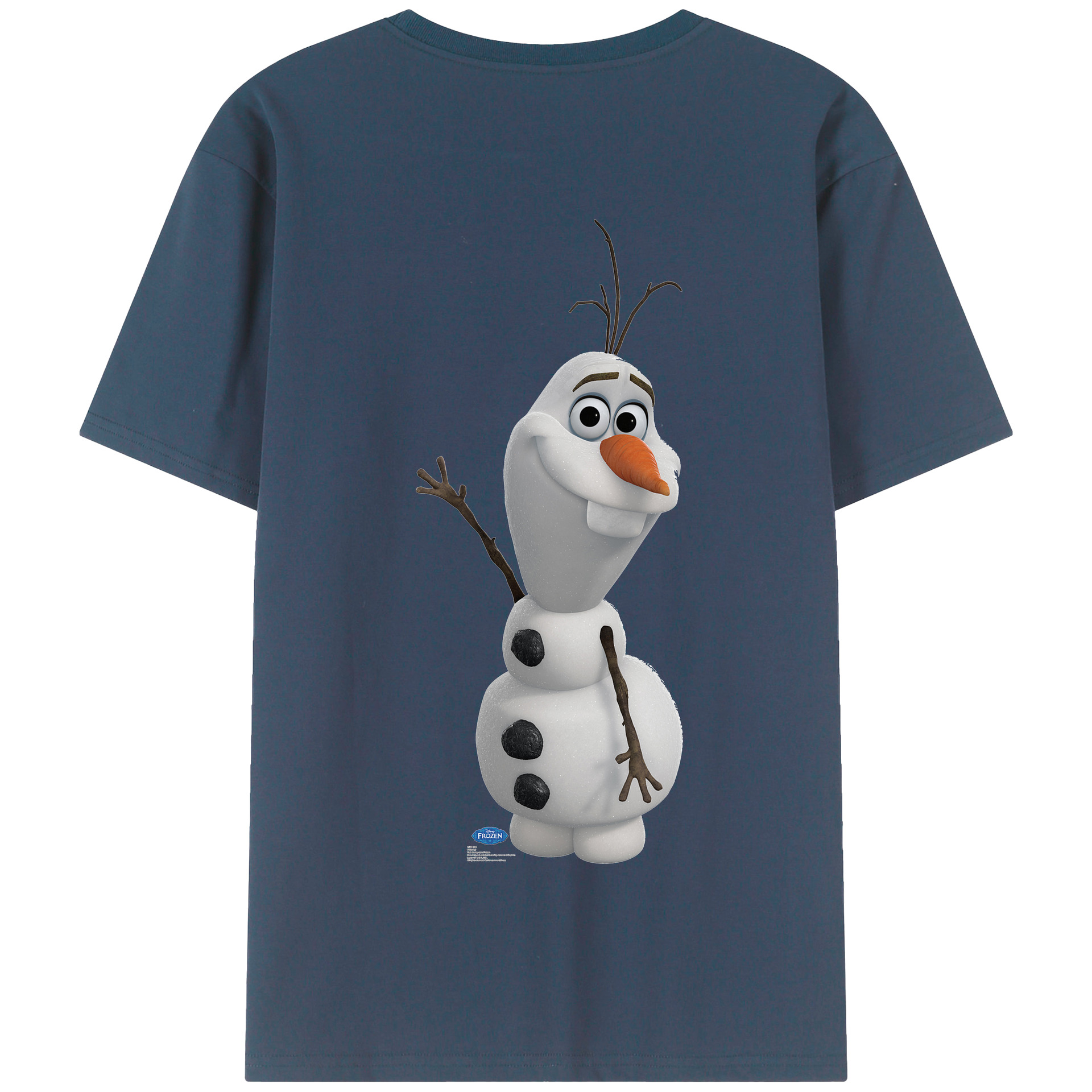 （画像用） アナと雪の女王 アンナ エルサ Frozen Anna Elsa 綿100％半袖Tシャツ（背面プリント）