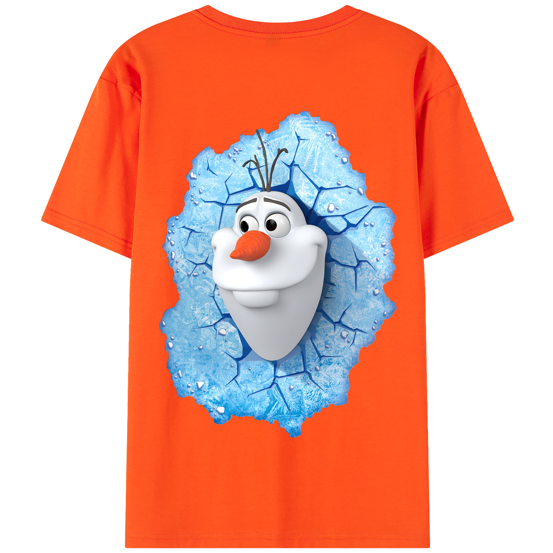 （画像用） アナと雪の女王 アンナ エルサ Frozen Anna Elsa 綿100％半袖Tシャツ（背面プリント）