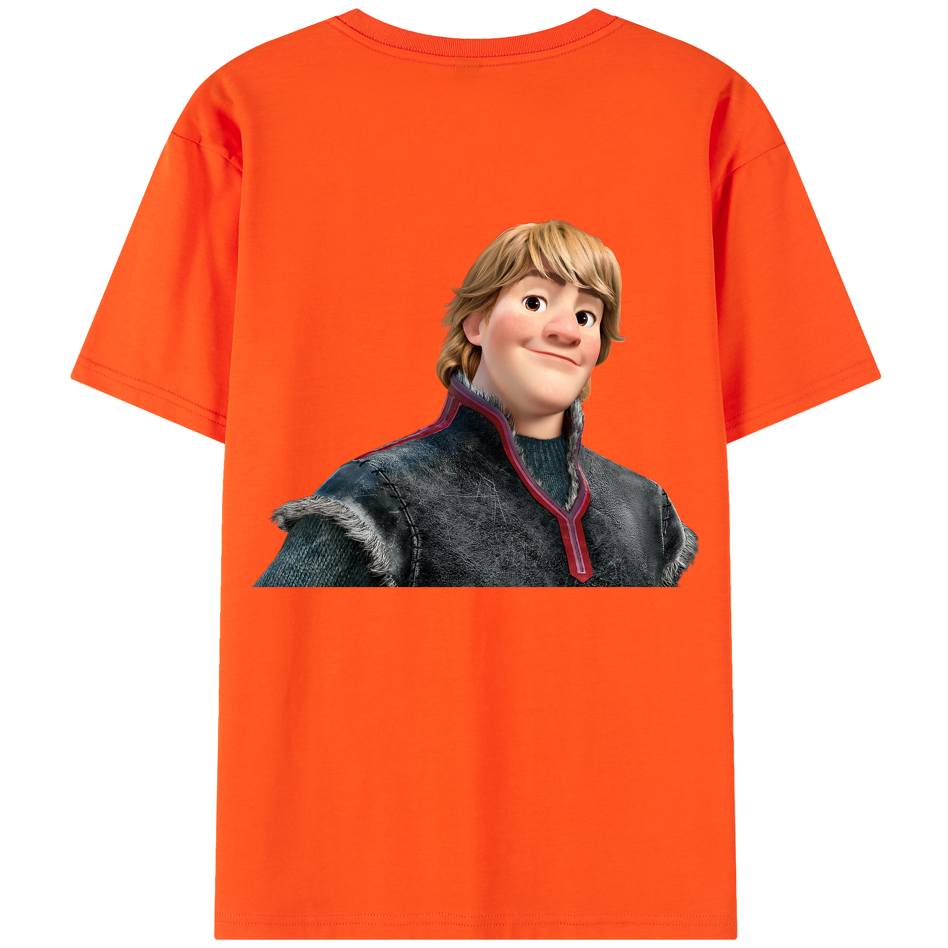 （画像用） アナと雪の女王 アンナ エルサ Frozen Anna Elsa 綿100％半袖Tシャツ（背面プリント）