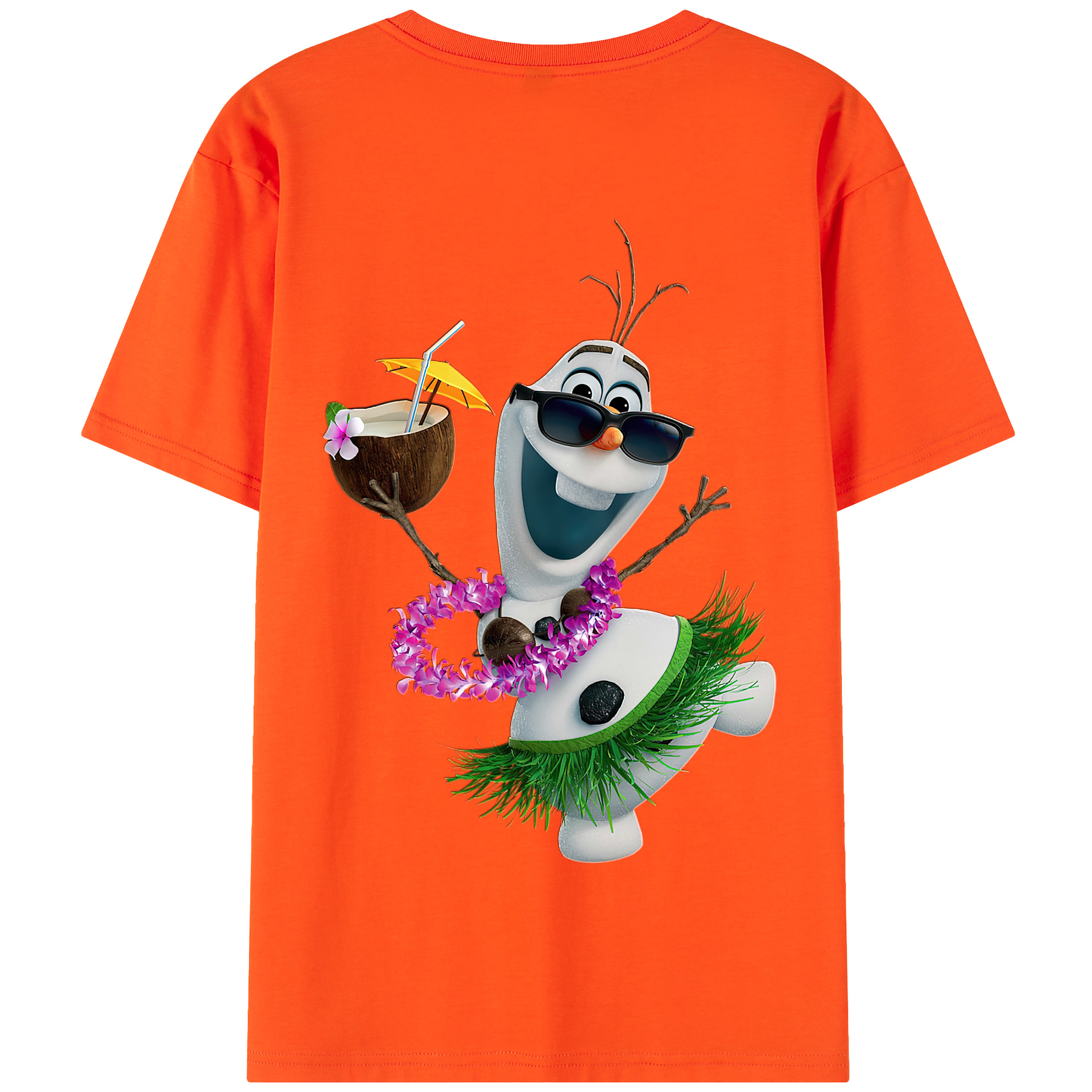 （画像用） アナと雪の女王 アンナ エルサ Frozen Anna Elsa 綿100％半袖Tシャツ（背面プリント）