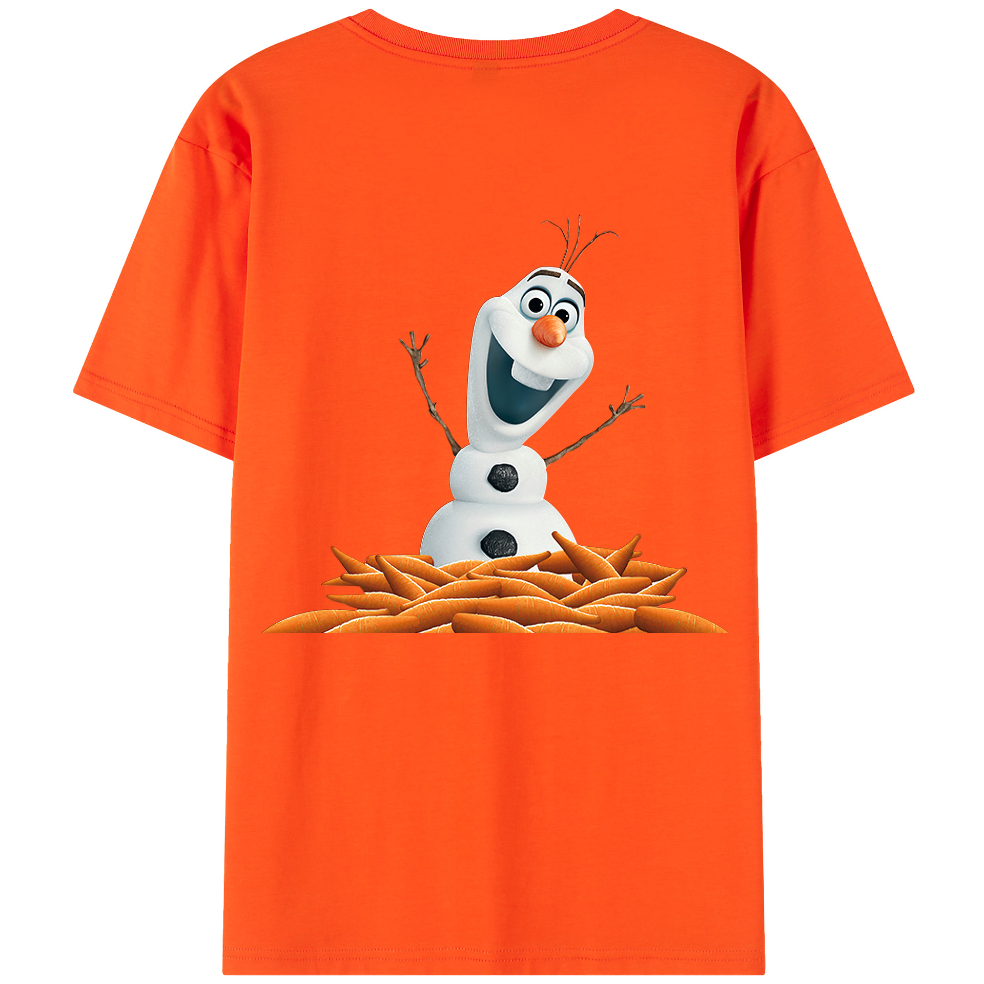 （画像用） アナと雪の女王 アンナ エルサ Frozen Anna Elsa 綿100％半袖Tシャツ（背面プリント）