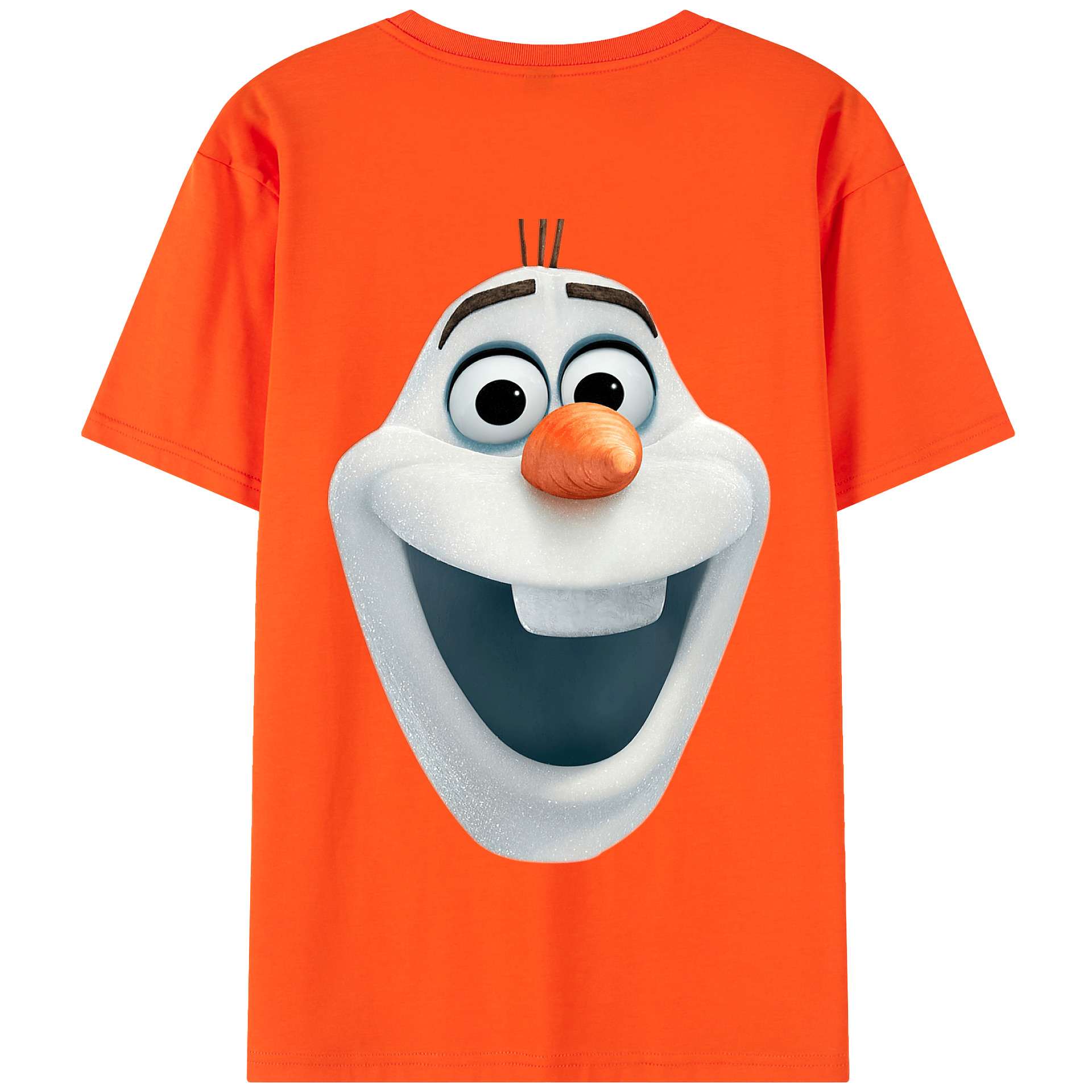 （画像用） アナと雪の女王 アンナ エルサ Frozen Anna Elsa 綿100％半袖Tシャツ（背面プリント）