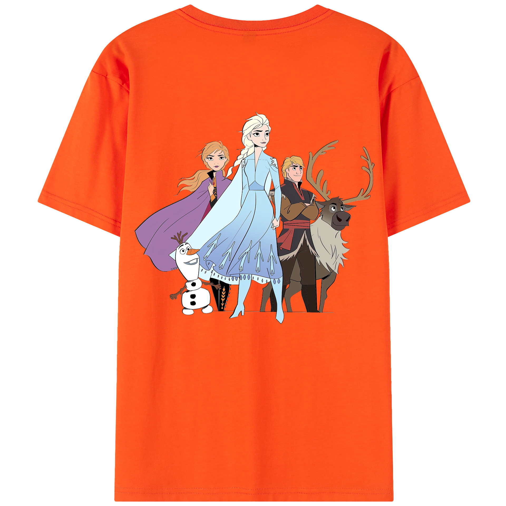 （画像用） アナと雪の女王 アンナ エルサ Frozen Anna Elsa 綿100％半袖Tシャツ（背面プリント）