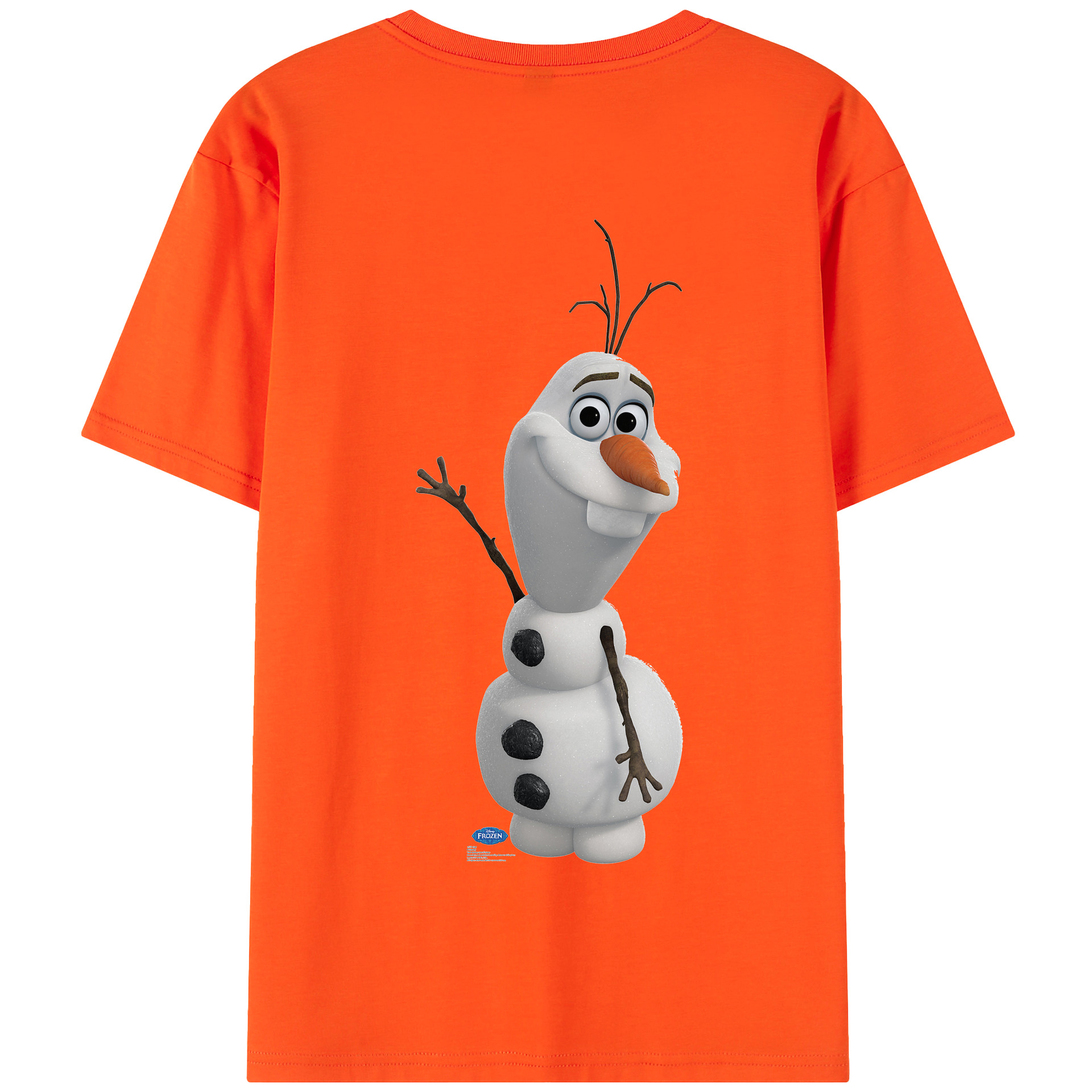 （画像用） アナと雪の女王 アンナ エルサ Frozen Anna Elsa 綿100％半袖Tシャツ（背面プリント）