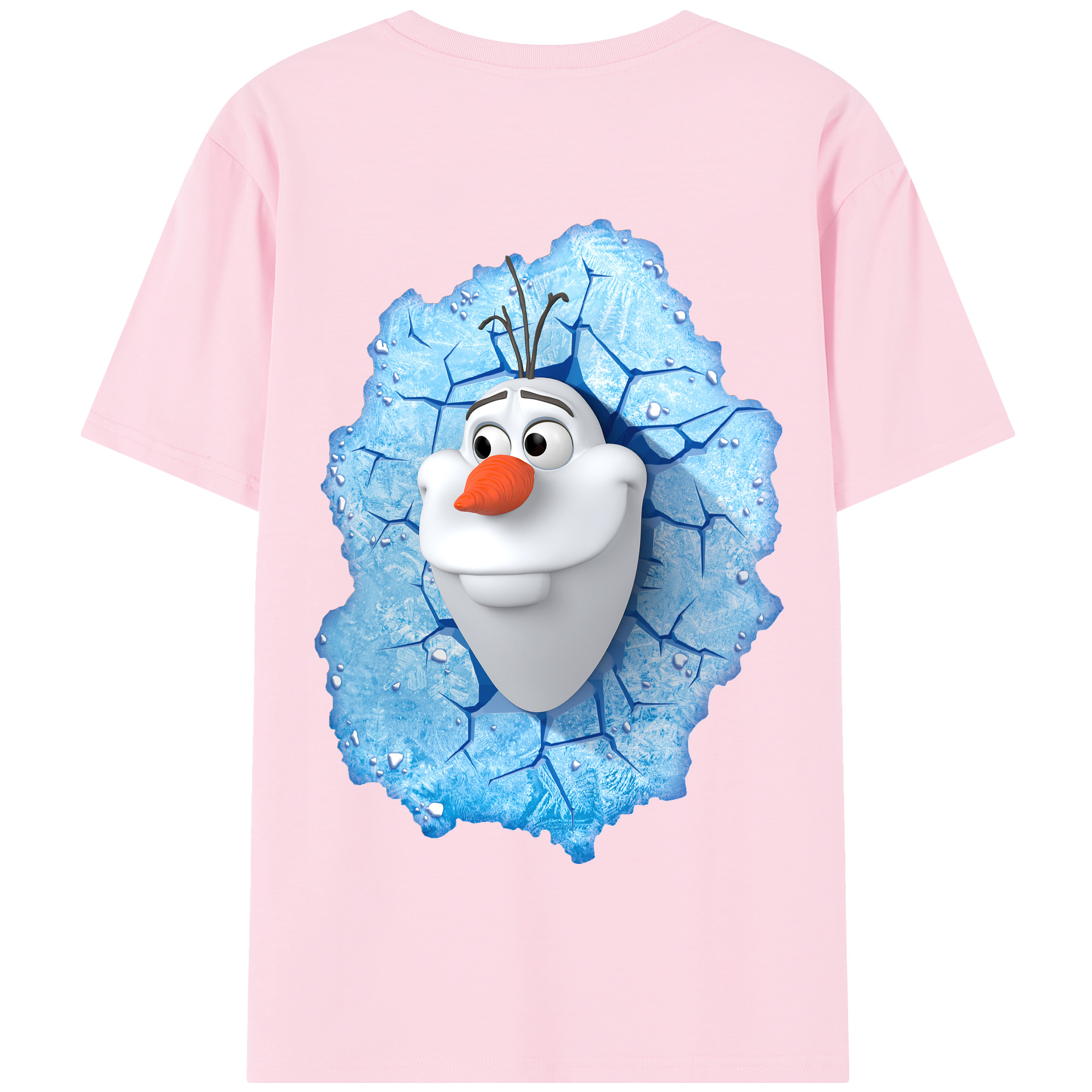 （画像用） アナと雪の女王 アンナ エルサ Frozen Anna Elsa 綿100％半袖Tシャツ（背面プリント）