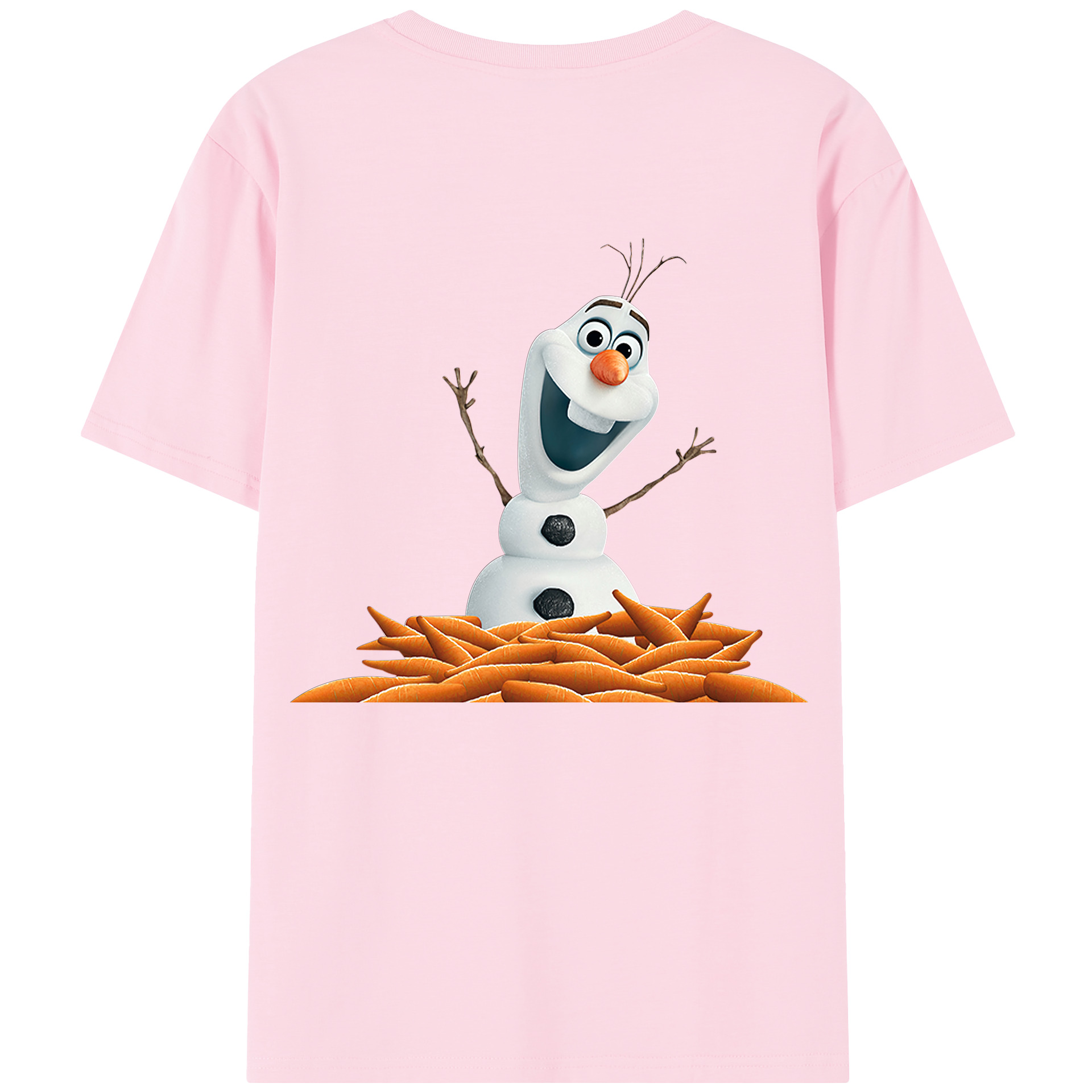（画像用） アナと雪の女王 アンナ エルサ Frozen Anna Elsa 綿100％半袖Tシャツ（背面プリント）