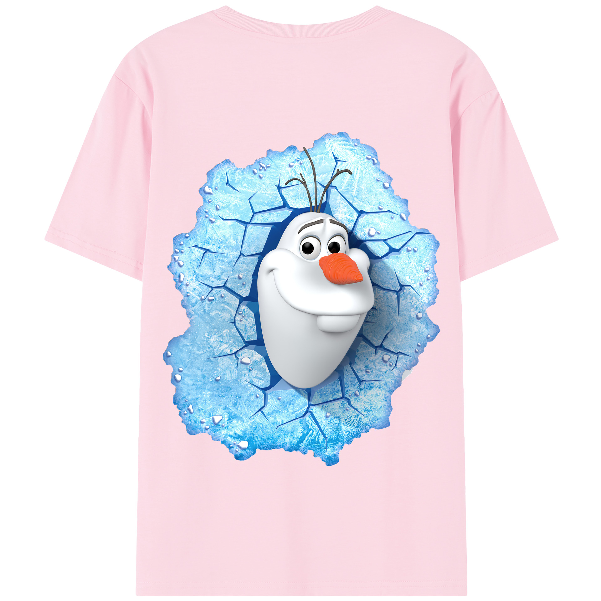（画像用） アナと雪の女王 アンナ エルサ Frozen Anna Elsa 綿100％半袖Tシャツ（背面プリント）