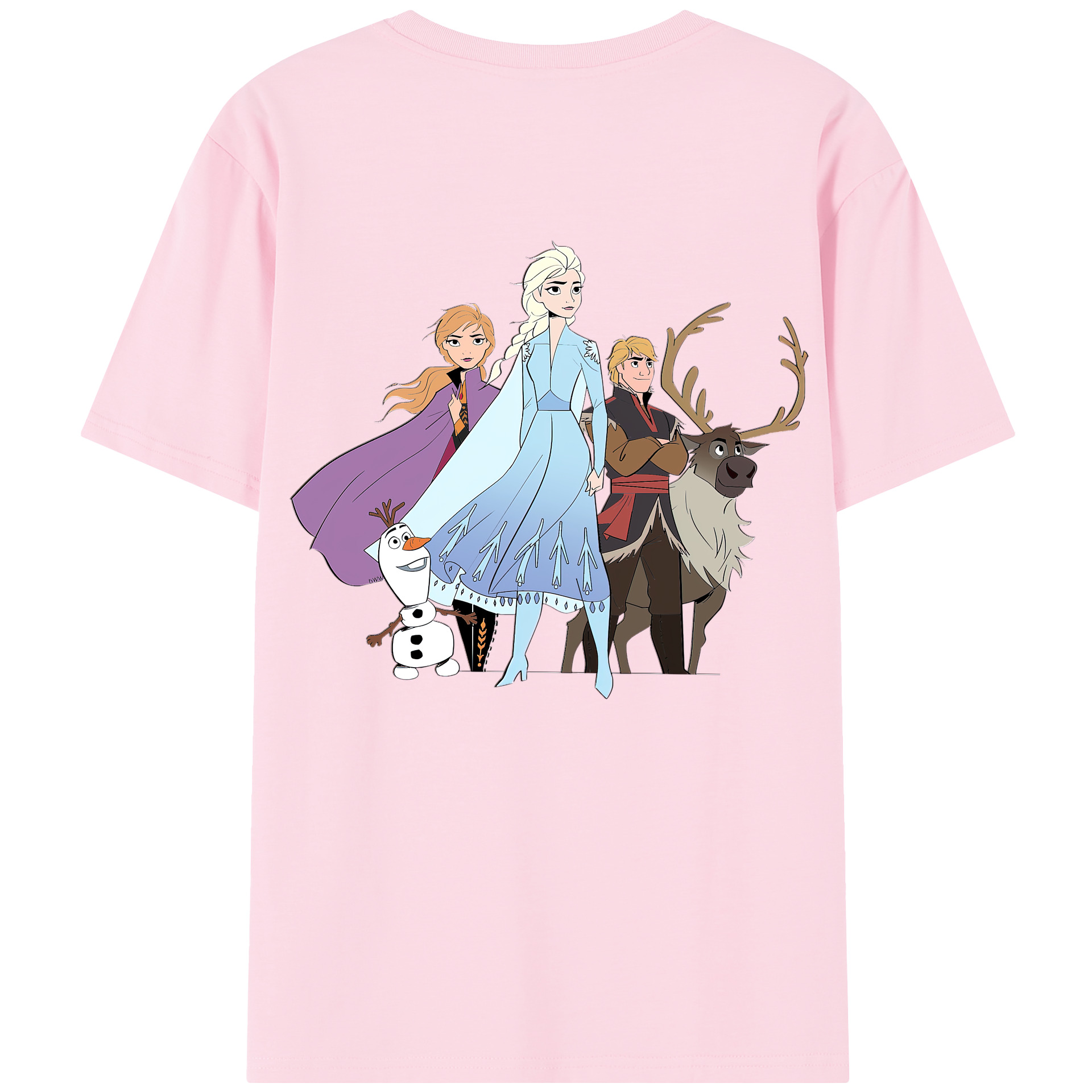 （画像用） アナと雪の女王 アンナ エルサ Frozen Anna Elsa 綿100％半袖Tシャツ（背面プリント）