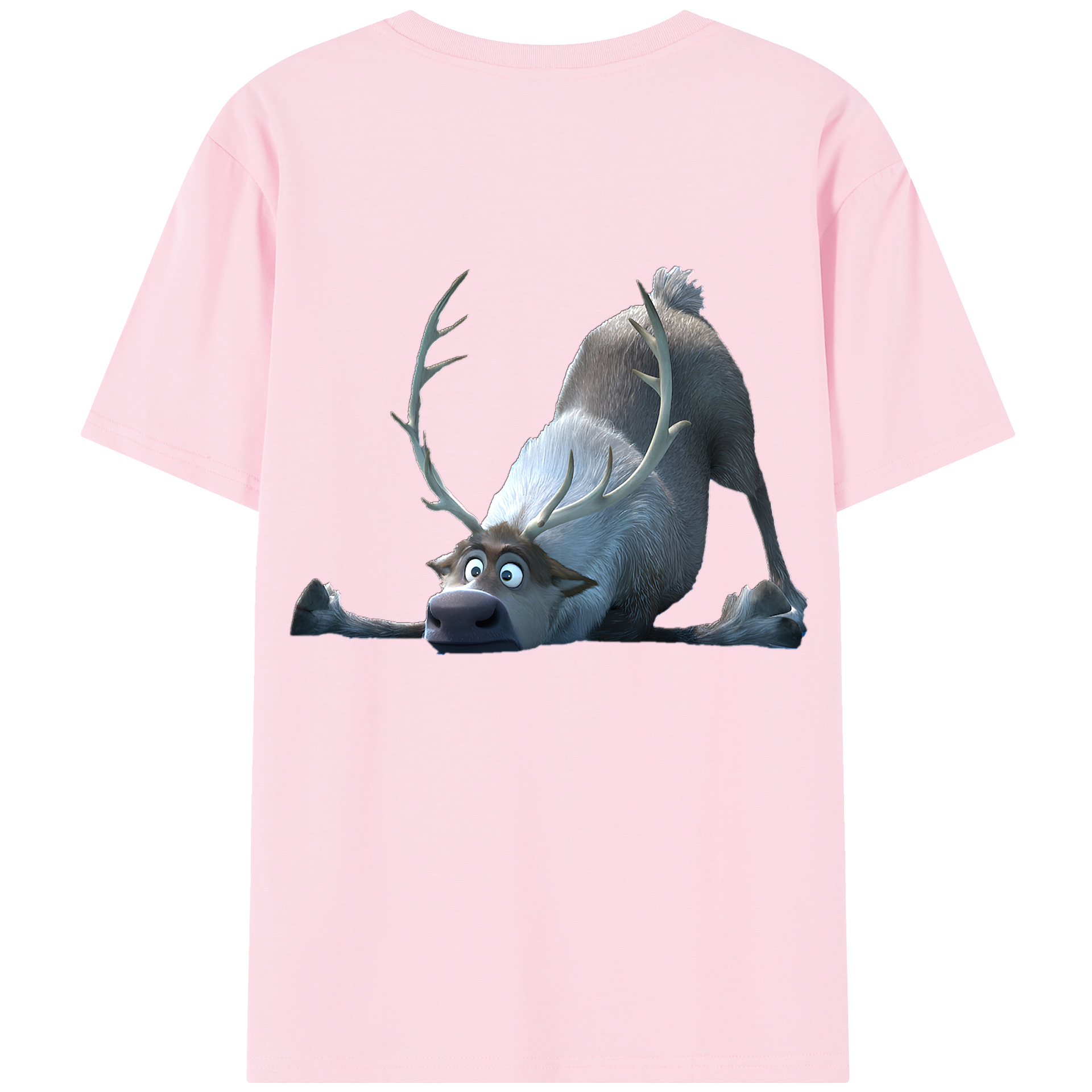 （画像用） アナと雪の女王 アンナ エルサ Frozen Anna Elsa 綿100％半袖Tシャツ（背面プリント）