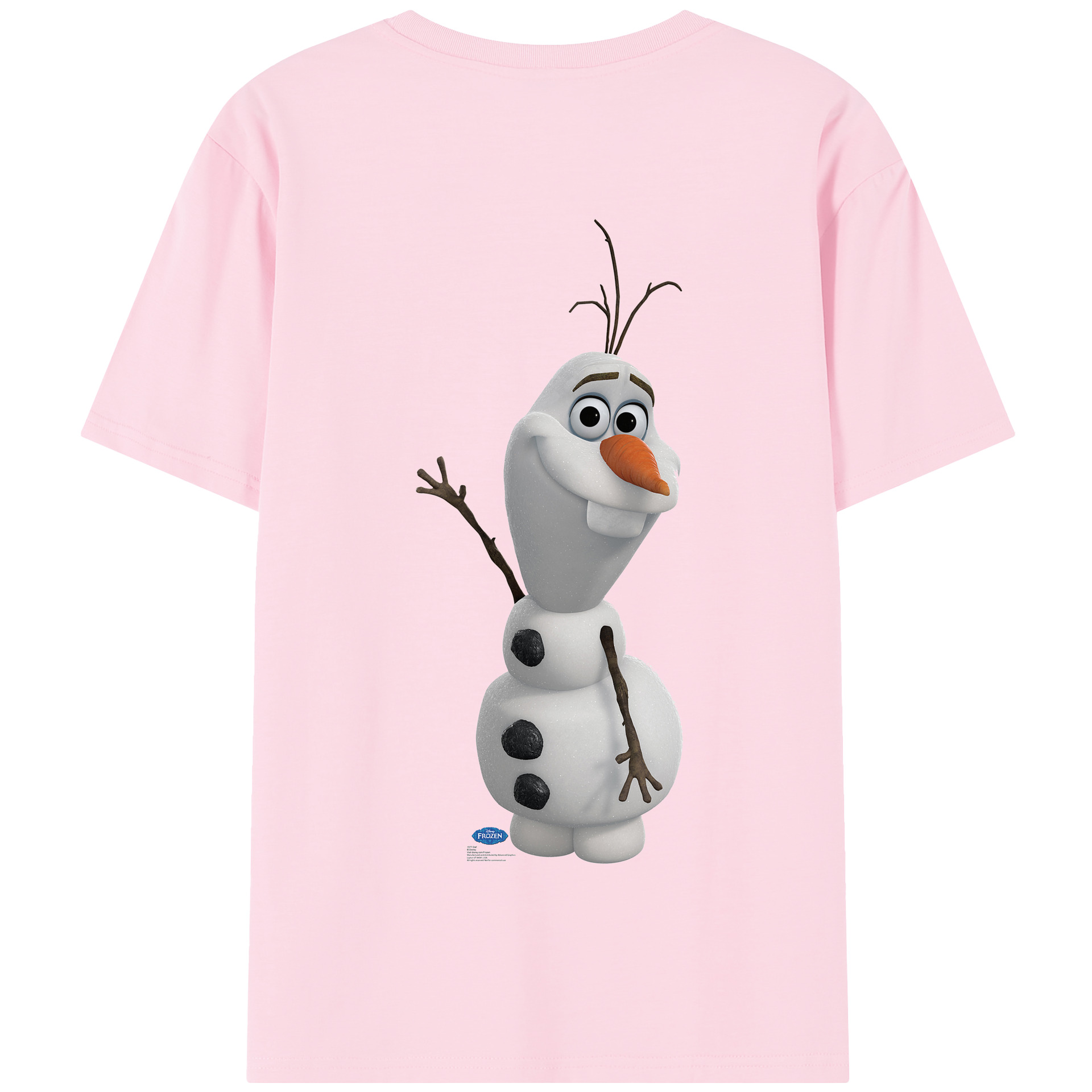 （画像用） アナと雪の女王 アンナ エルサ Frozen Anna Elsa 綿100％半袖Tシャツ（背面プリント）