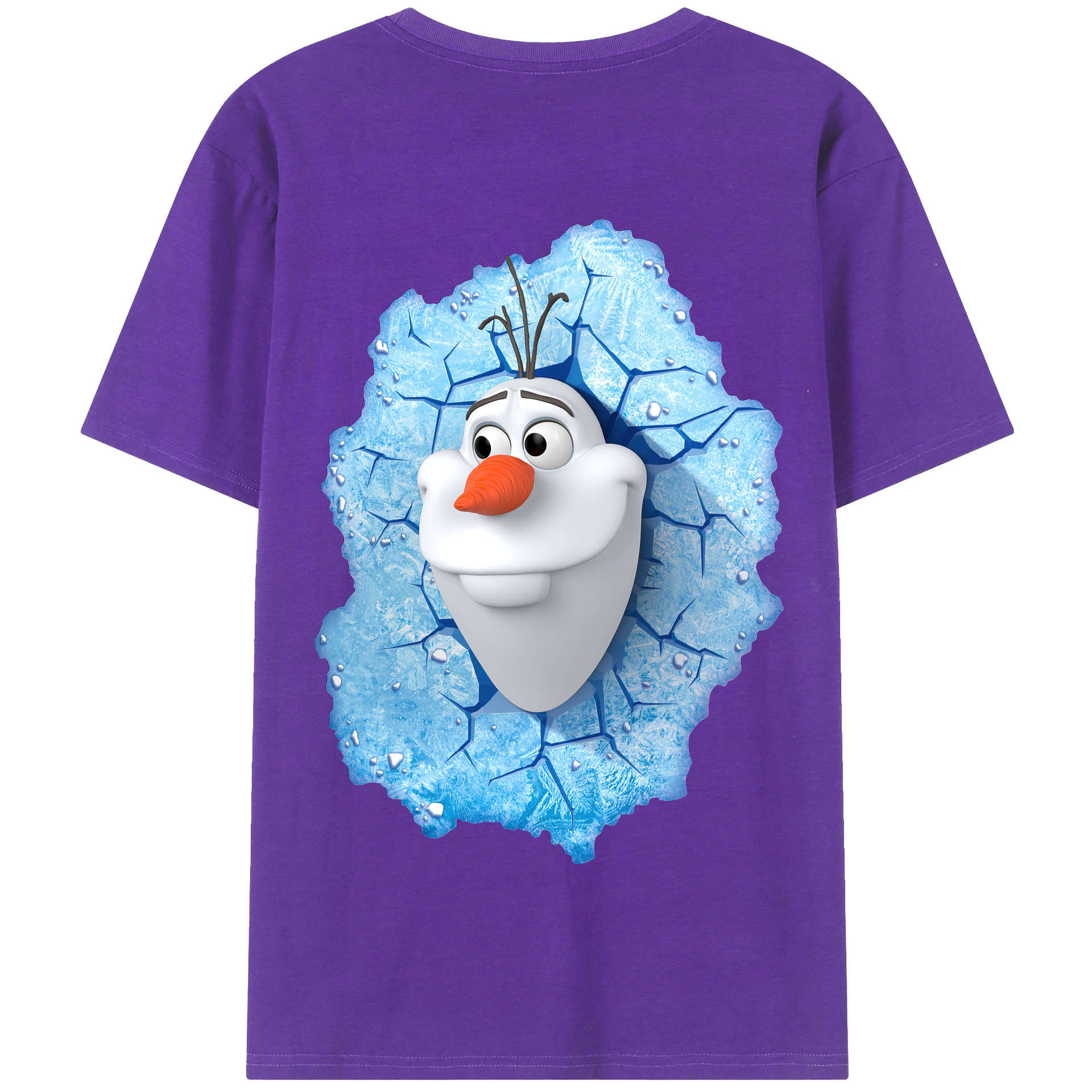 （画像用） アナと雪の女王 アンナ エルサ Frozen Anna Elsa 綿100％半袖Tシャツ（背面プリント）