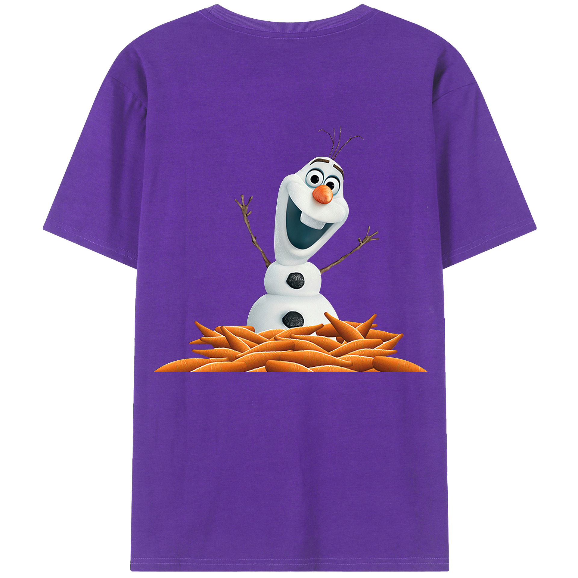 （画像用） アナと雪の女王 アンナ エルサ Frozen Anna Elsa 綿100％半袖Tシャツ（背面プリント）