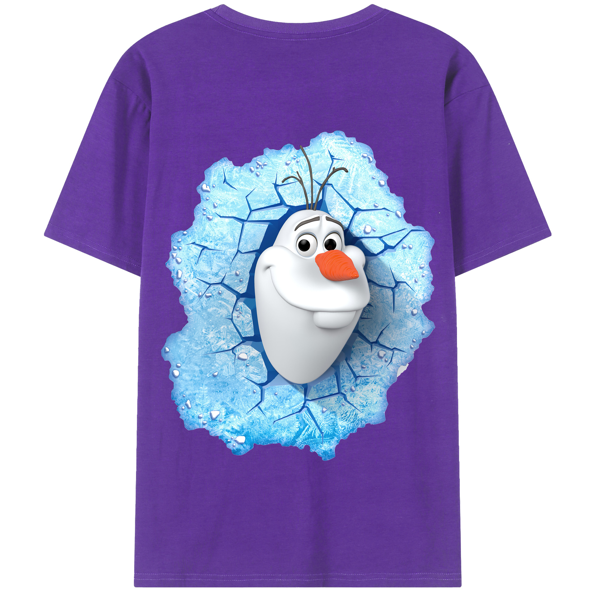 （画像用） アナと雪の女王 アンナ エルサ Frozen Anna Elsa 綿100％半袖Tシャツ（背面プリント）
