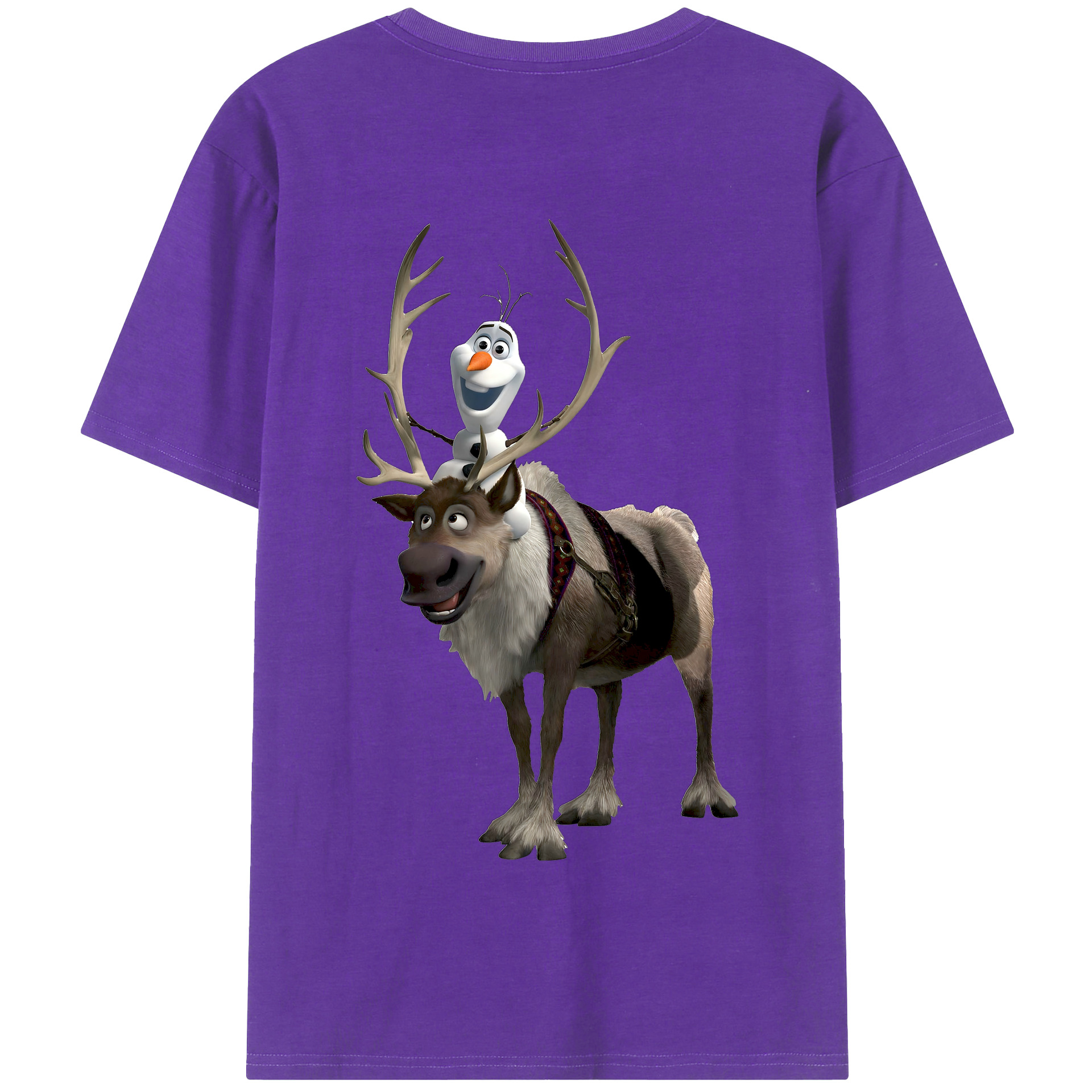 （画像用） アナと雪の女王 アンナ エルサ Frozen Anna Elsa 綿100％半袖Tシャツ（背面プリント）