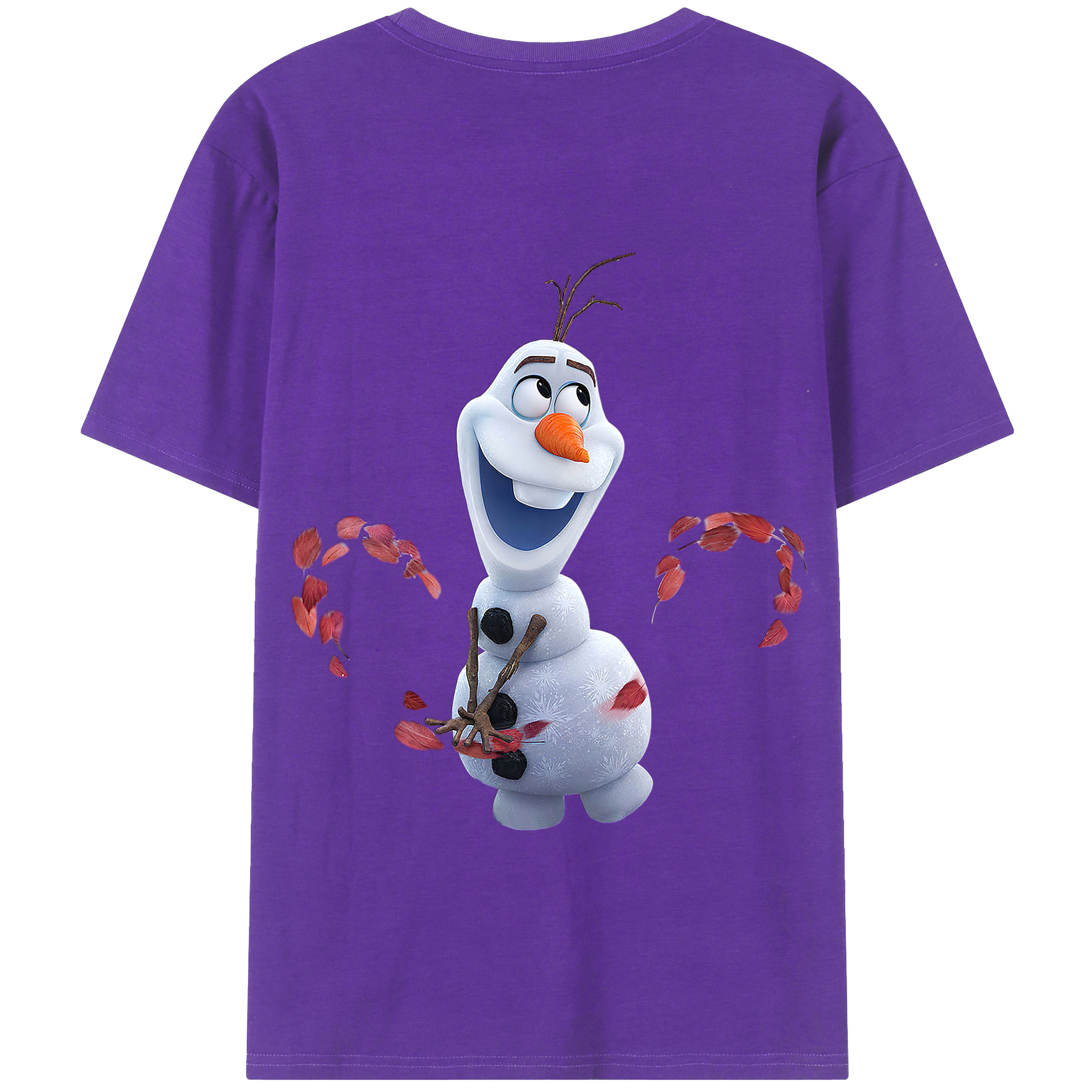 （画像用） アナと雪の女王 アンナ エルサ Frozen Anna Elsa 綿100％半袖Tシャツ（背面プリント）