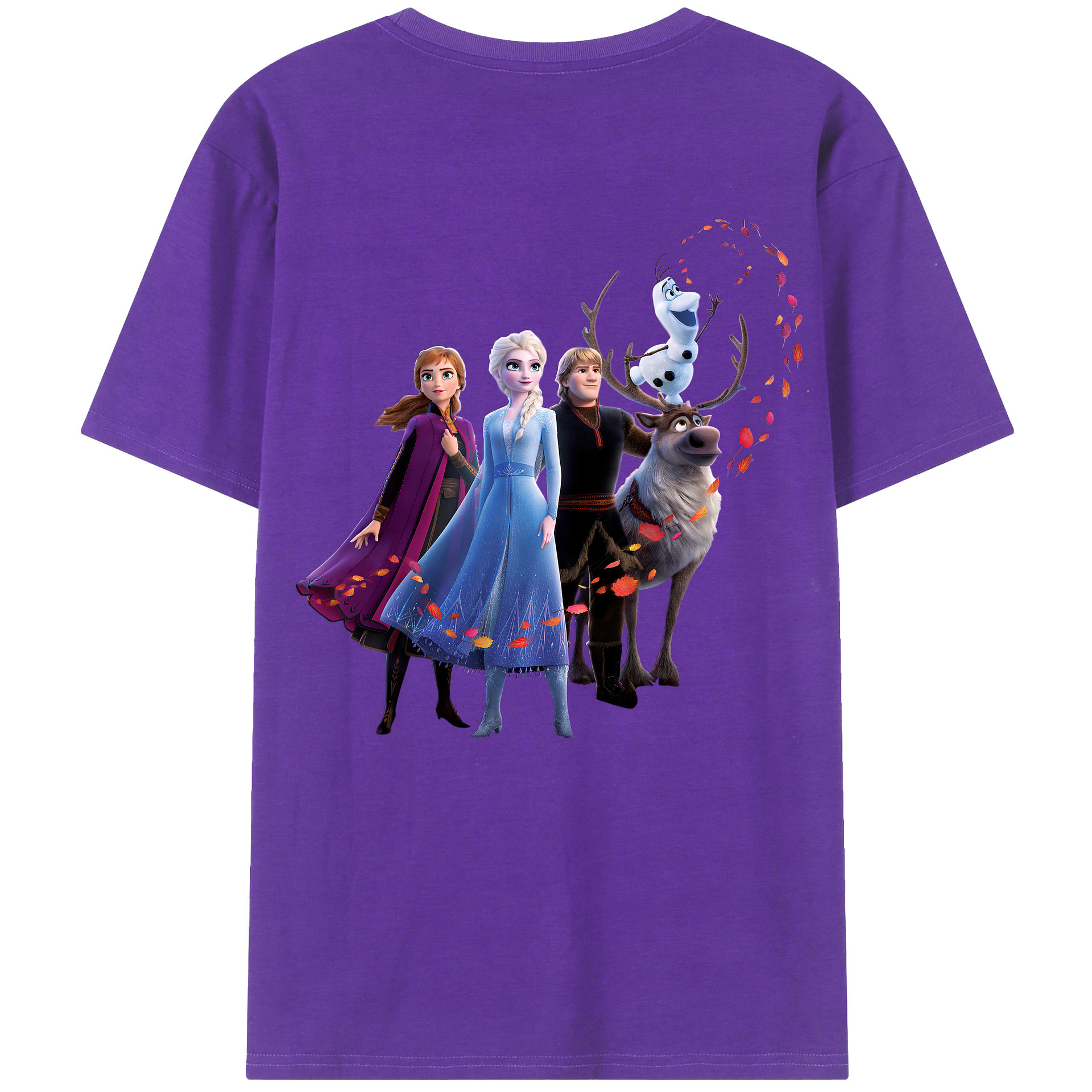 （画像用） アナと雪の女王 アンナ エルサ Frozen Anna Elsa 綿100％半袖Tシャツ（背面プリント）