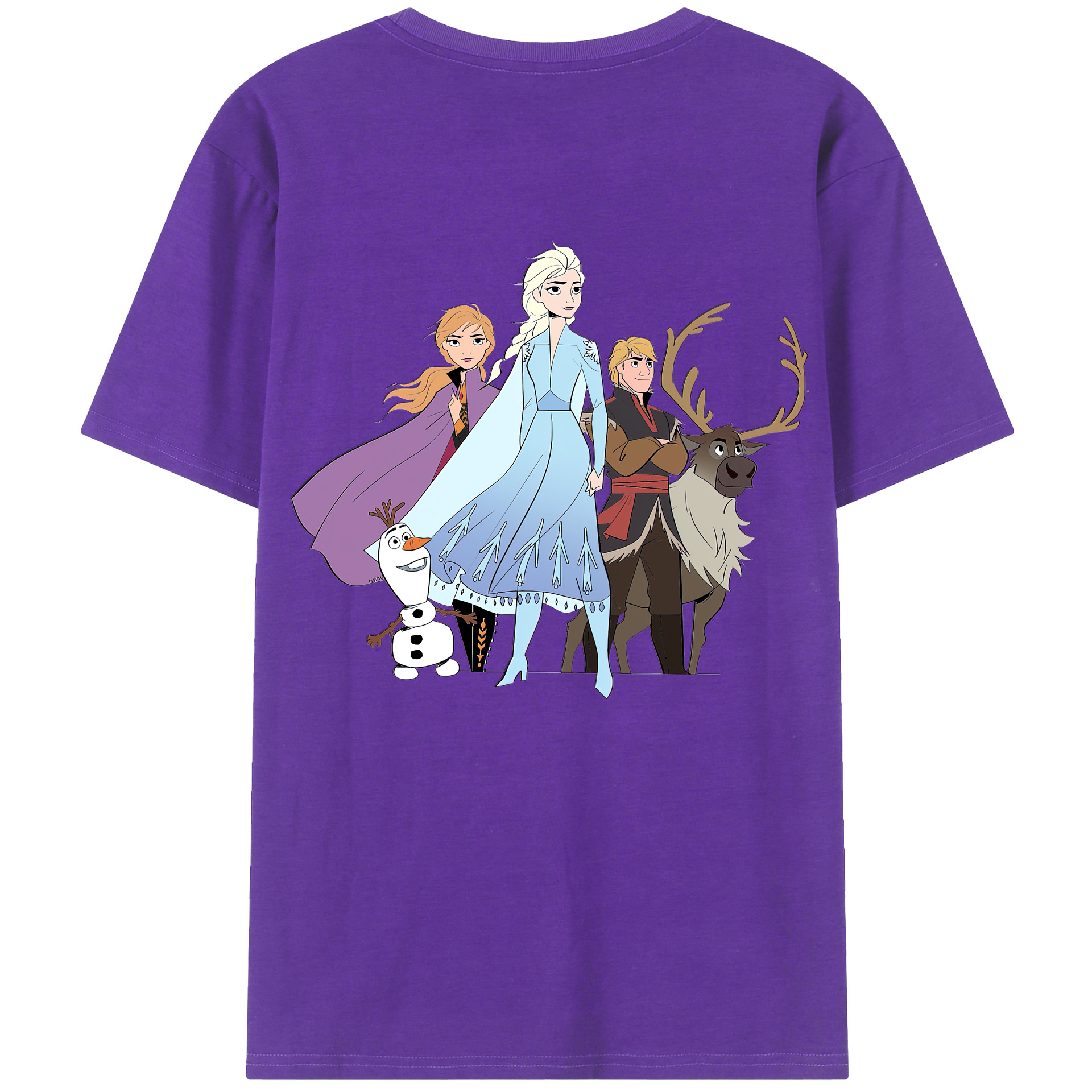 （画像用） アナと雪の女王 アンナ エルサ Frozen Anna Elsa 綿100％半袖Tシャツ（背面プリント）