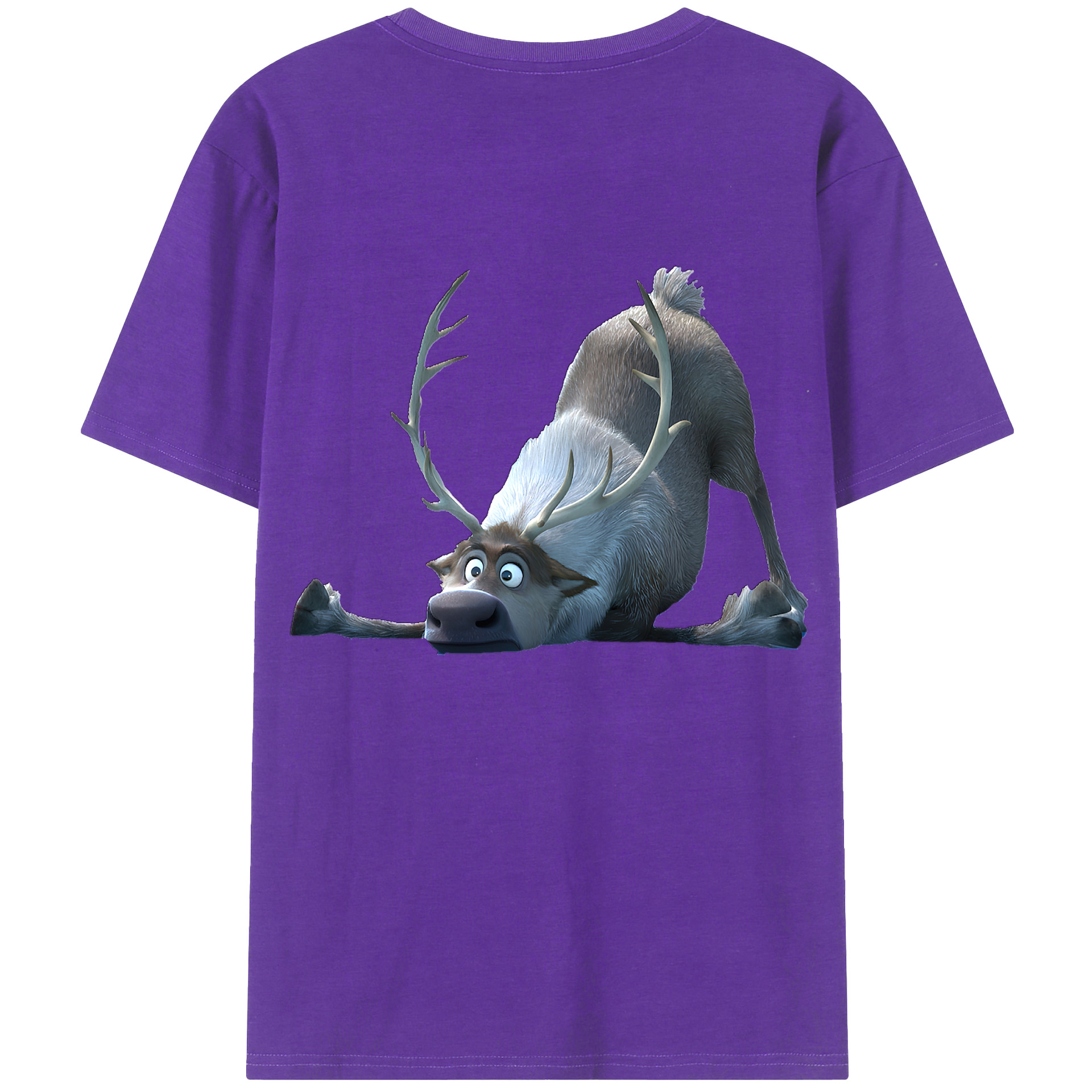 （画像用） アナと雪の女王 アンナ エルサ Frozen Anna Elsa 綿100％半袖Tシャツ（背面プリント）