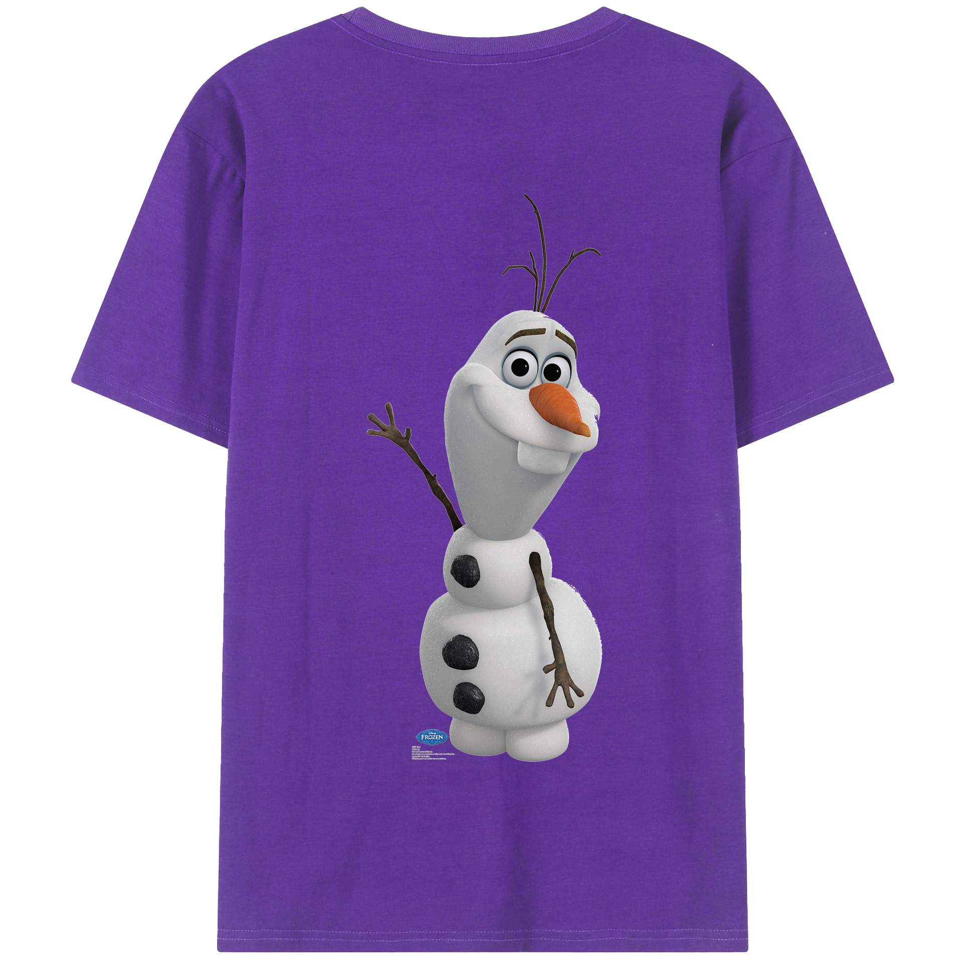 （画像用） アナと雪の女王 アンナ エルサ Frozen Anna Elsa 綿100％半袖Tシャツ（背面プリント）