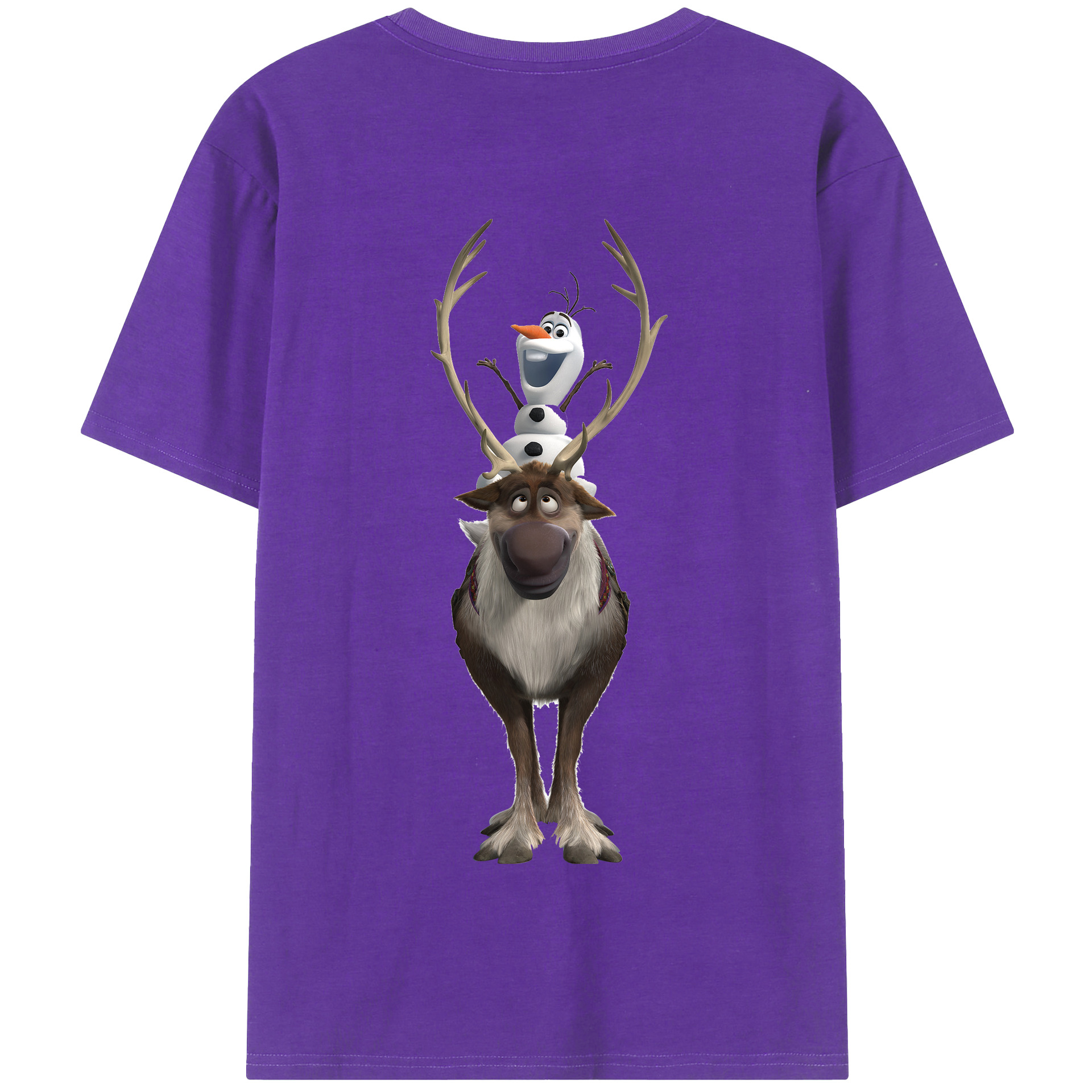 （画像用） アナと雪の女王 アンナ エルサ Frozen Anna Elsa 綿100％半袖Tシャツ（背面プリント）