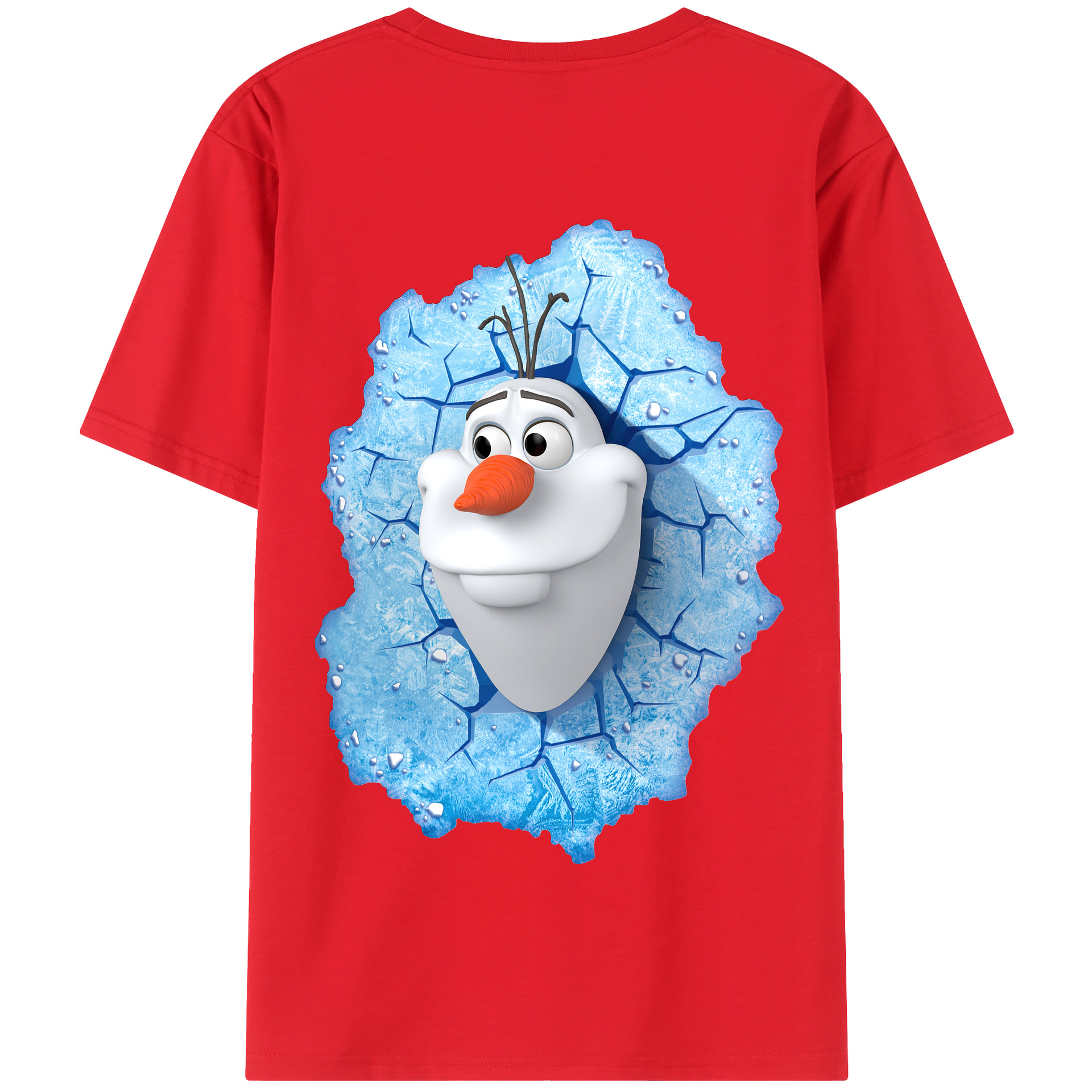（画像用） アナと雪の女王 アンナ エルサ Frozen Anna Elsa 綿100％半袖Tシャツ（背面プリント）