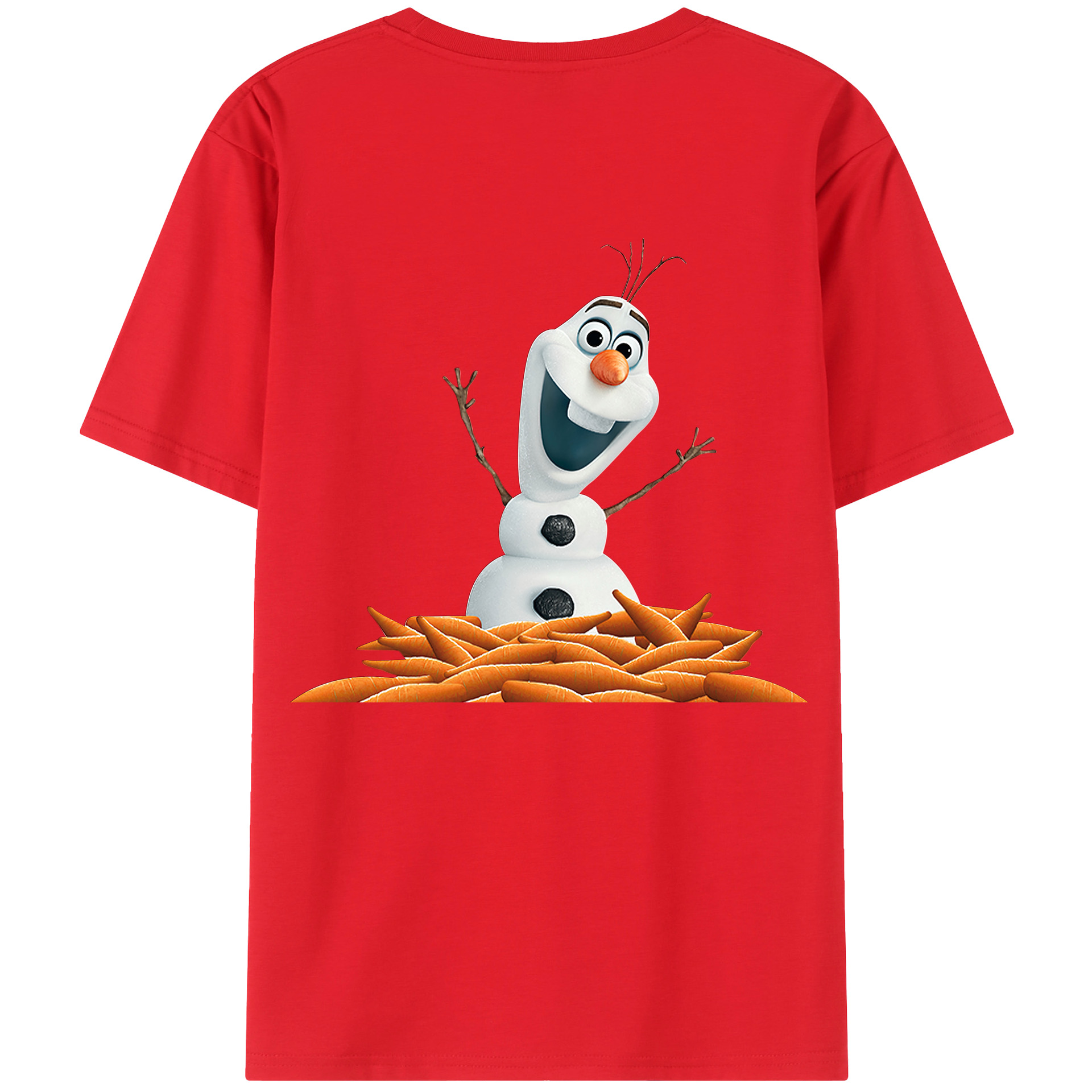 （画像用） アナと雪の女王 アンナ エルサ Frozen Anna Elsa 綿100％半袖Tシャツ（背面プリント）