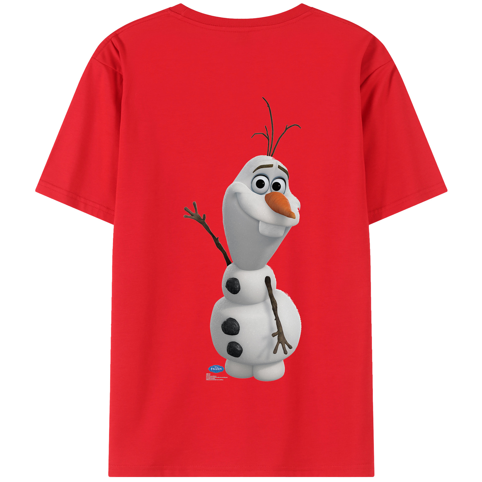 （画像用） アナと雪の女王 アンナ エルサ Frozen Anna Elsa 綿100％半袖Tシャツ（背面プリント）