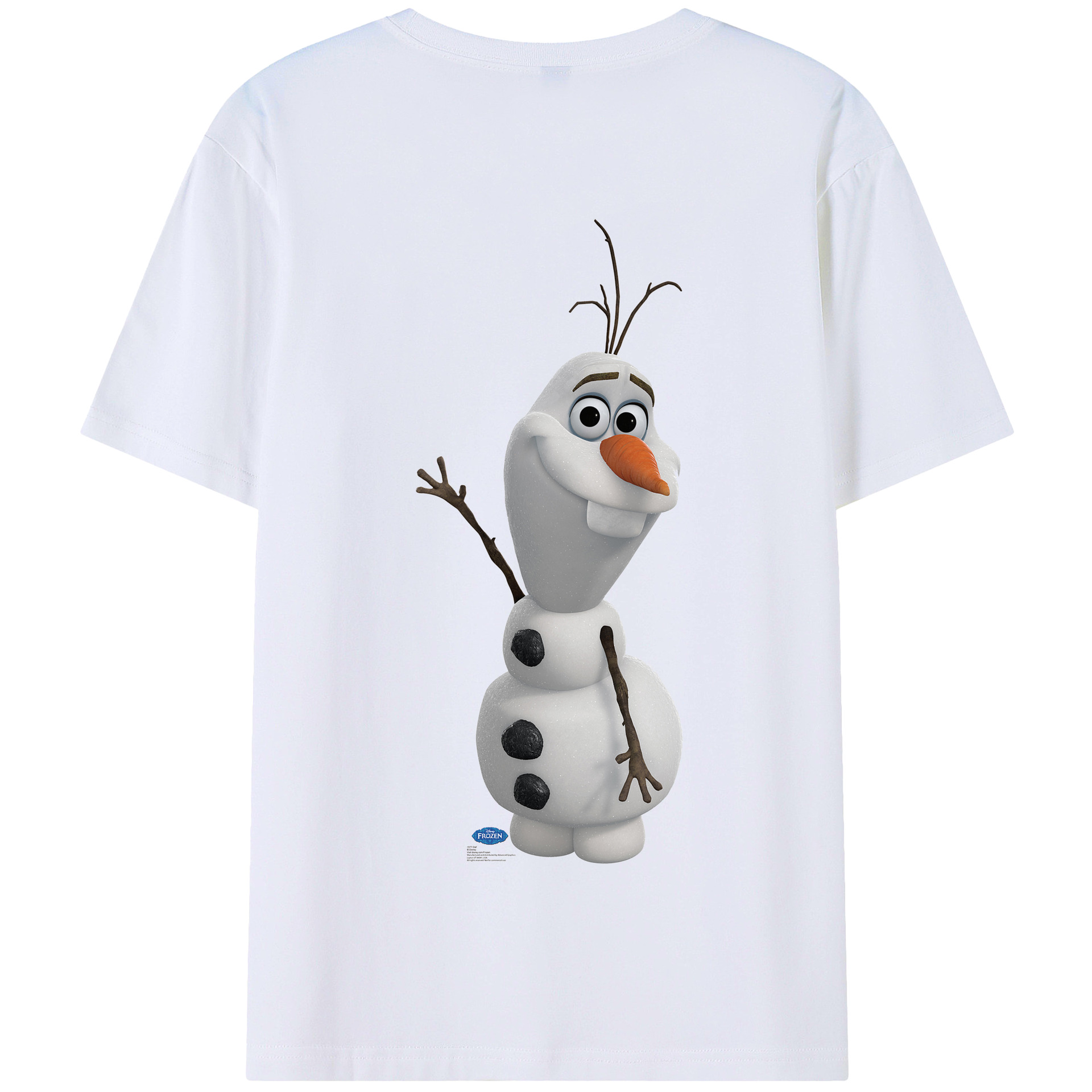 （画像用） アナと雪の女王 アンナ エルサ Frozen Anna Elsa 綿100％半袖Tシャツ（背面プリント）