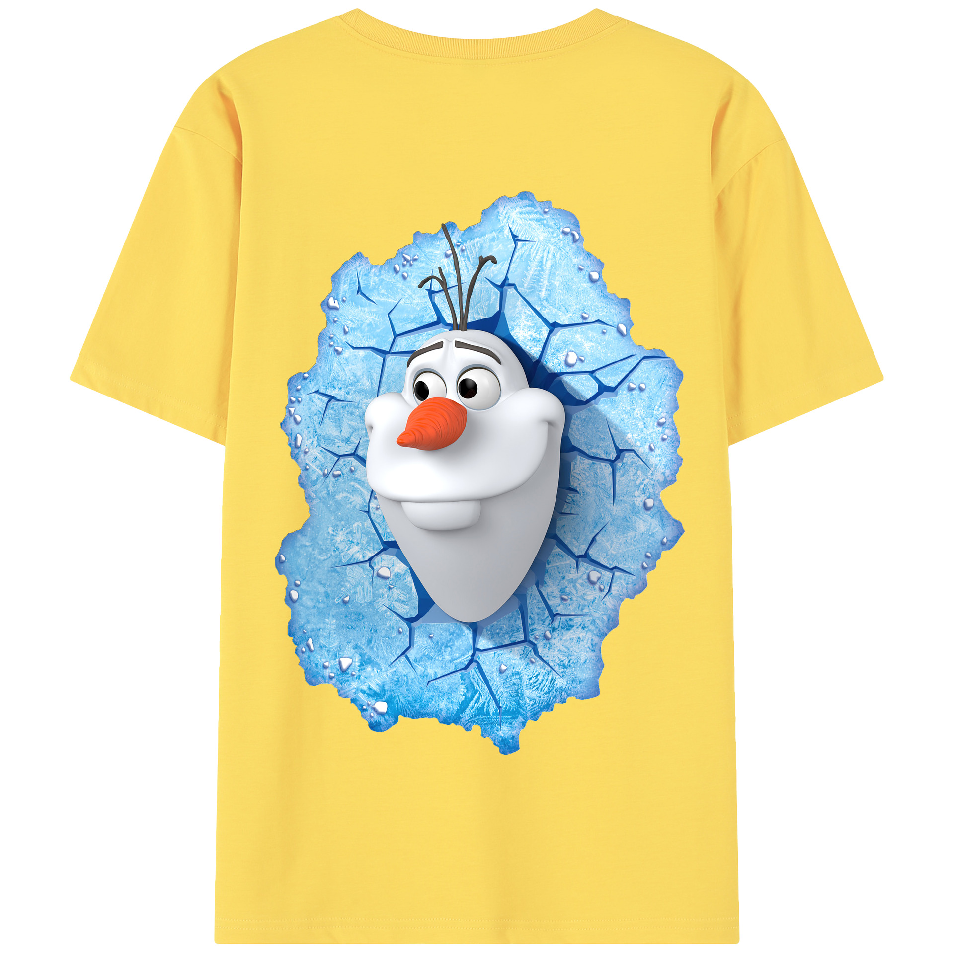 （画像用） アナと雪の女王 アンナ エルサ Frozen Anna Elsa 綿100％半袖Tシャツ（背面プリント）